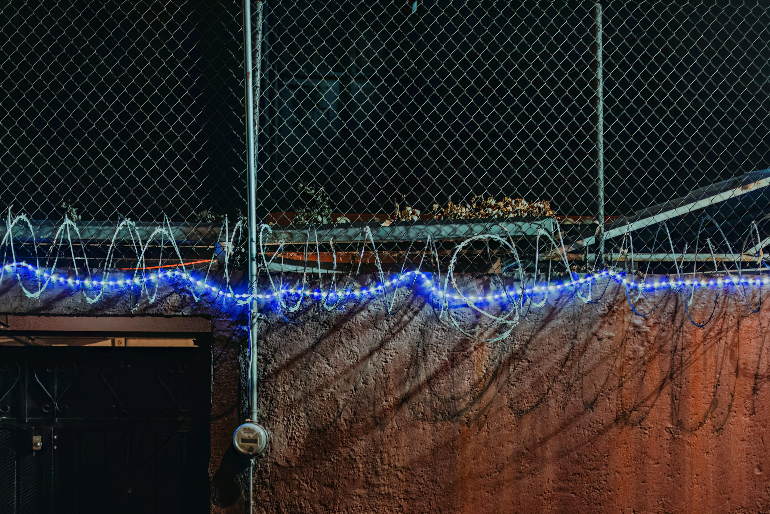 Lights of Zócalo. CDMX Photography | Alex Klenin| Portrait & Event Photographer