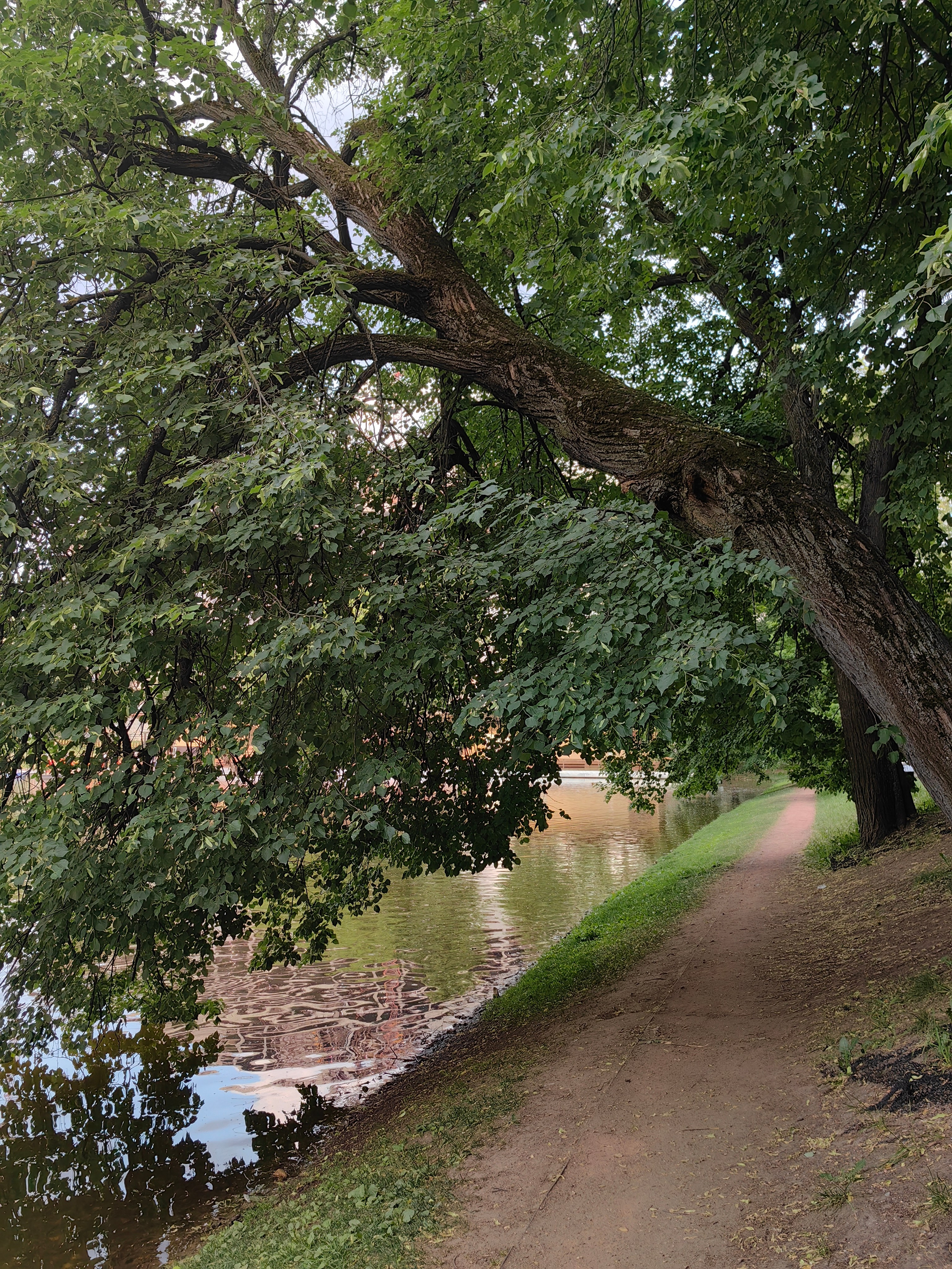 Парк ЕКАТЕРИНИНСКИЙ обзор. Фотограф в Москве и Московской области (Ю-В) Олеся Макарова