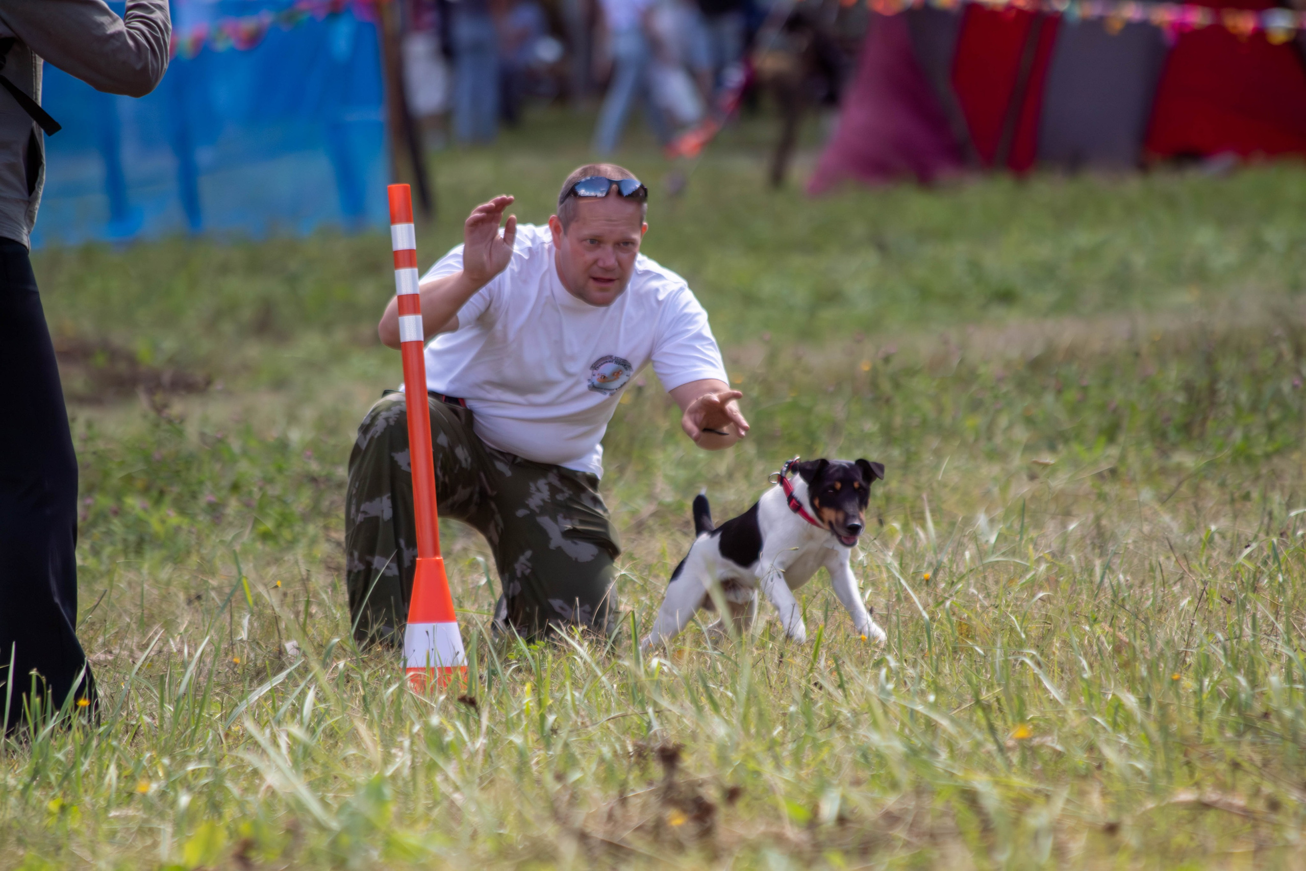 Охота как искусство Ясная поляна. Фотограф анималист — Тула, Москва