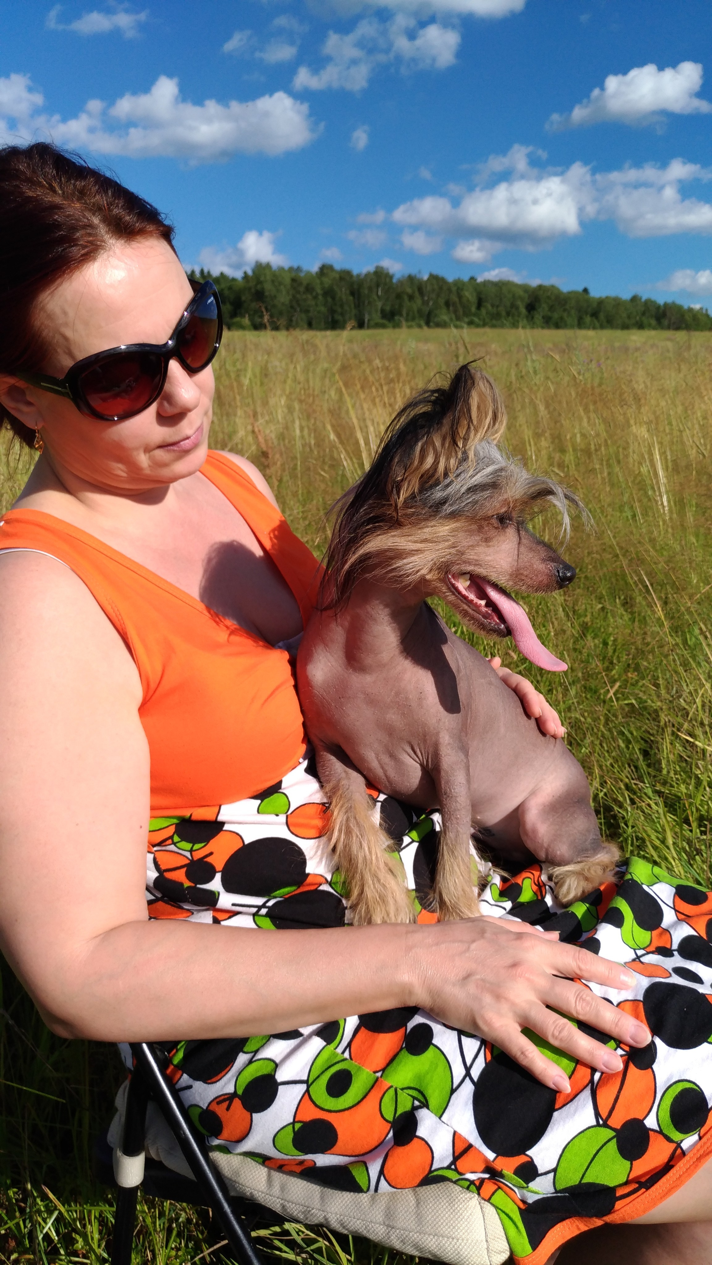 В поле под присмотром сокола. Питомник китайских хохлатых собак Poale Ell: купить щенка в питомнике