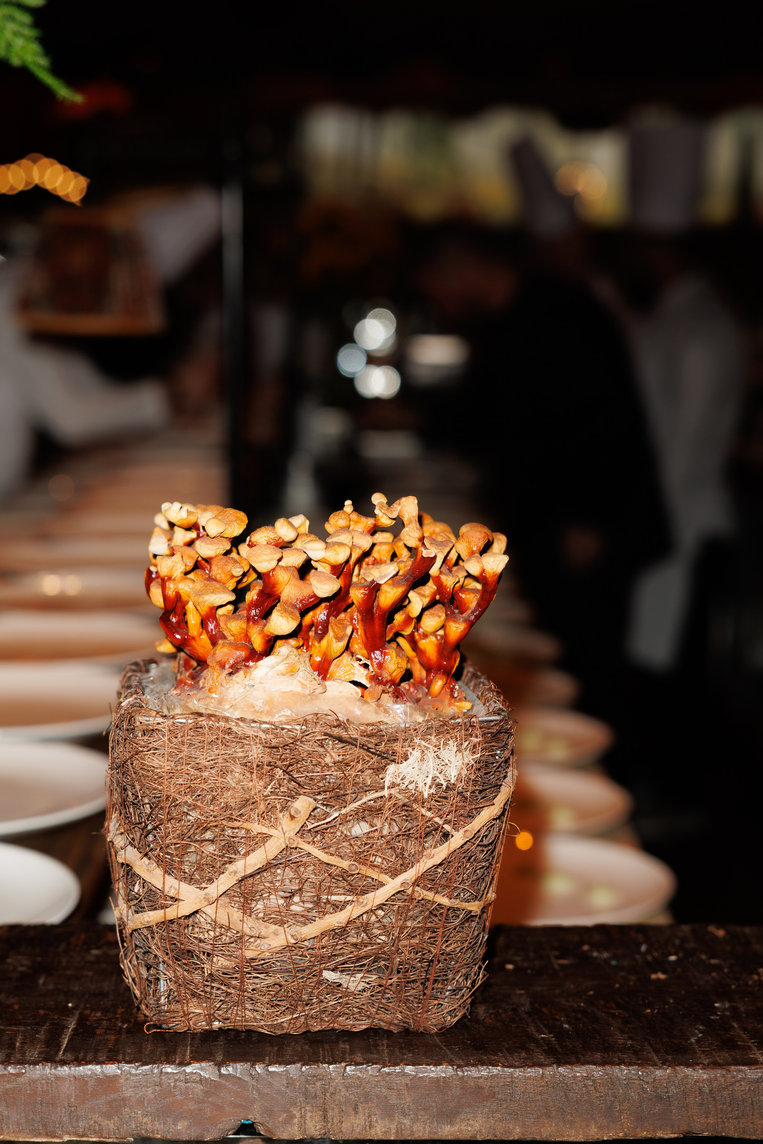 День Рождения ресторана «White Rabbit». «Птичка на проводе»: информационный портал в Москве