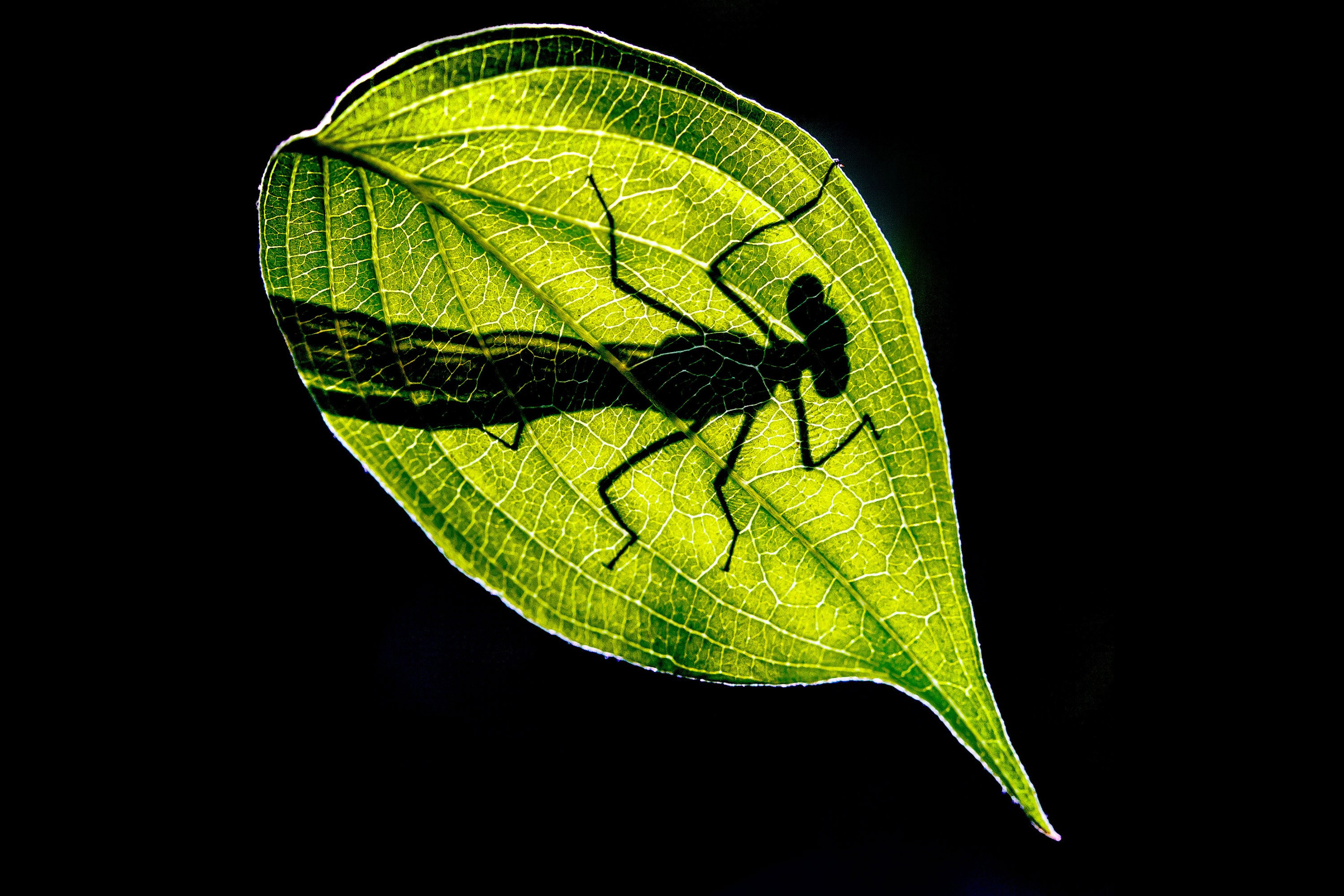 Фотограф в Геленджике Владимир Сковородников