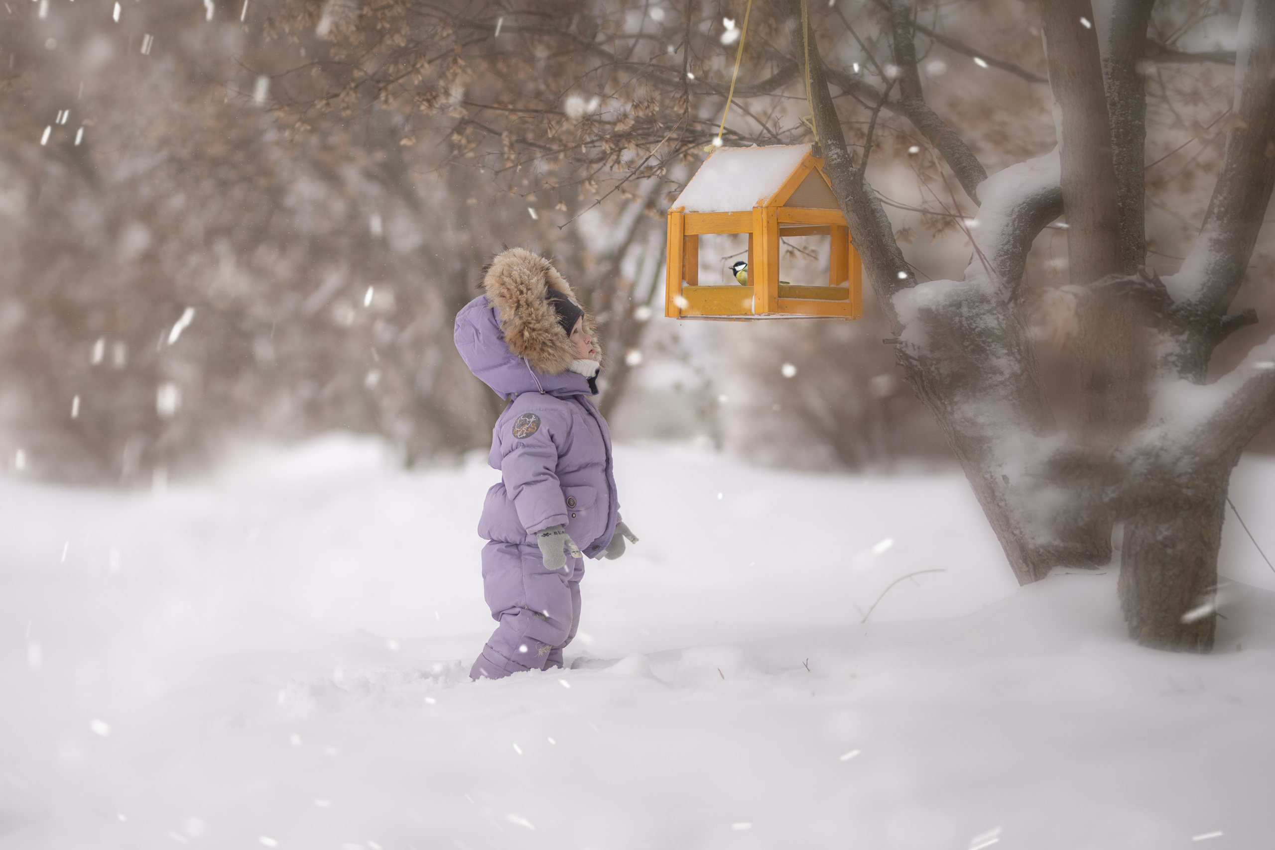 Семейный и детский фотограф в Ярославле Наталия Тачкова