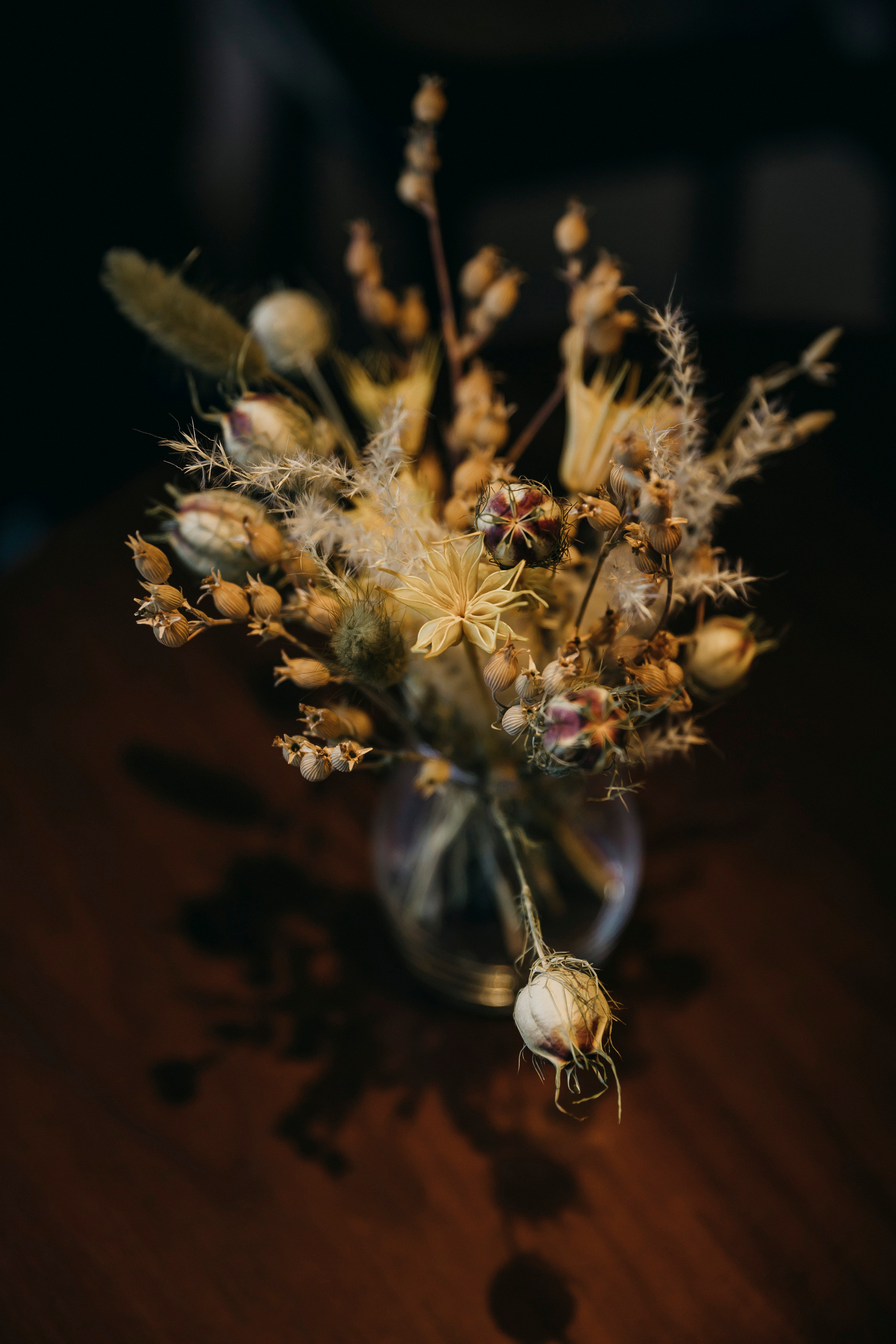 STARS COFFEE: открытие первой кофейни в Москве. «Птичка на проводе»: информационный портал в Москве