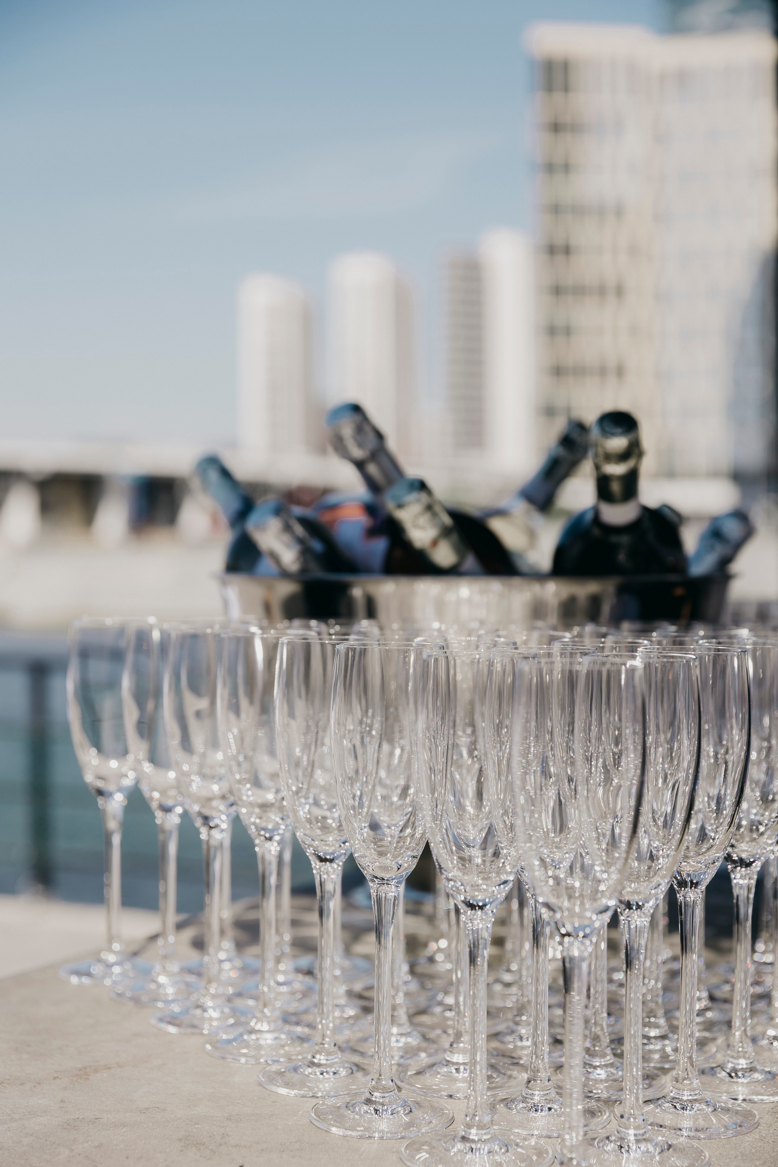 REKA Fest 15–16 августа. «Птичка на проводе»: информационный портал в Москве