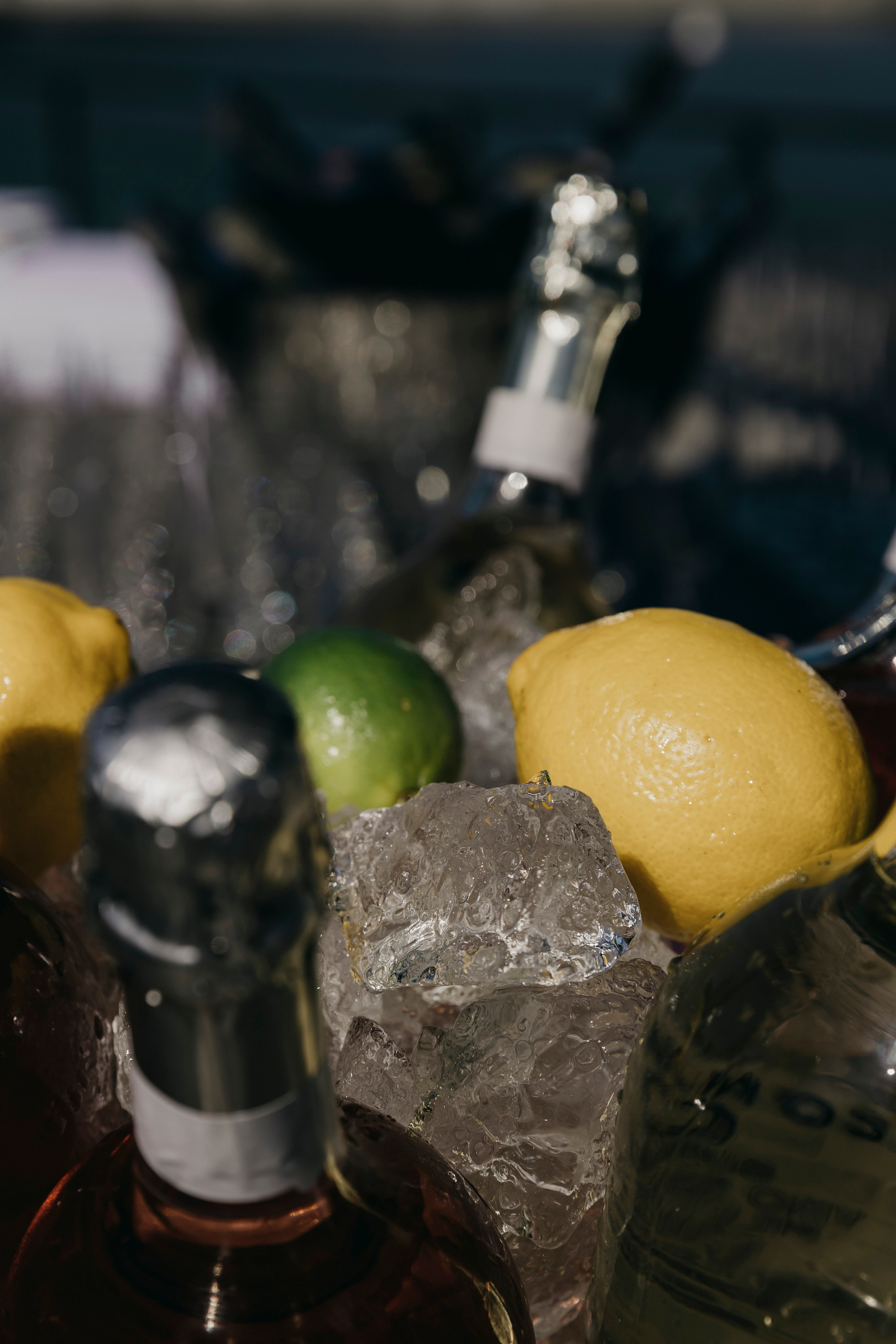 REKA Fest 15–16 августа. «Птичка на проводе»: информационный портал в Москве