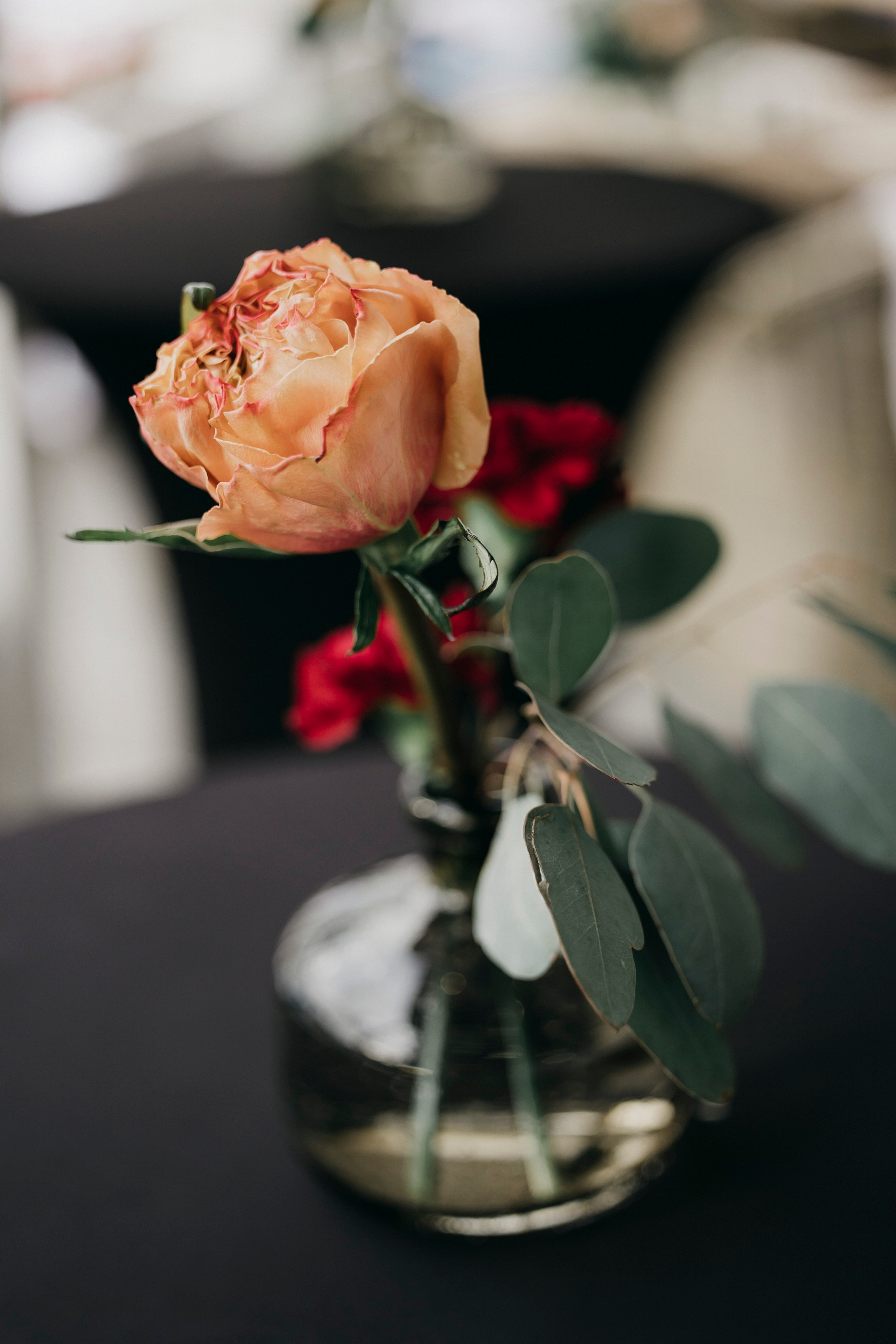 27-й день рождения радиостанции «Русское Радио» Русской Медиагруппы. «Птичка на проводе»: информационный портал в Москве