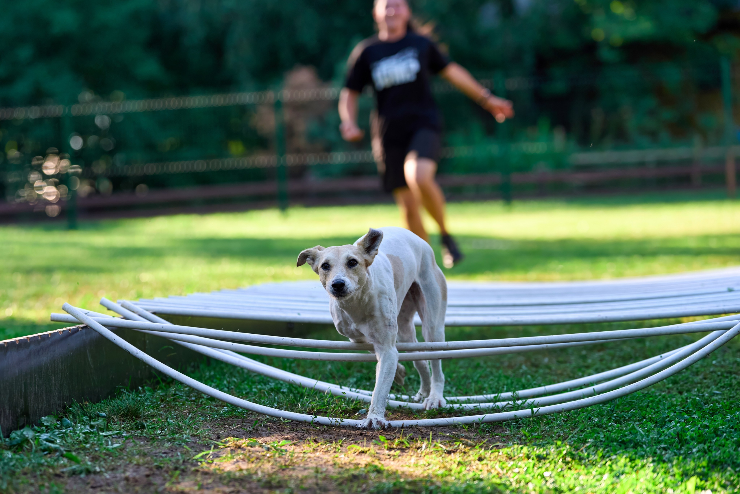 Jump'n'Gym JUMP! — 2024. Фотограф-анималист Михаил Манухин