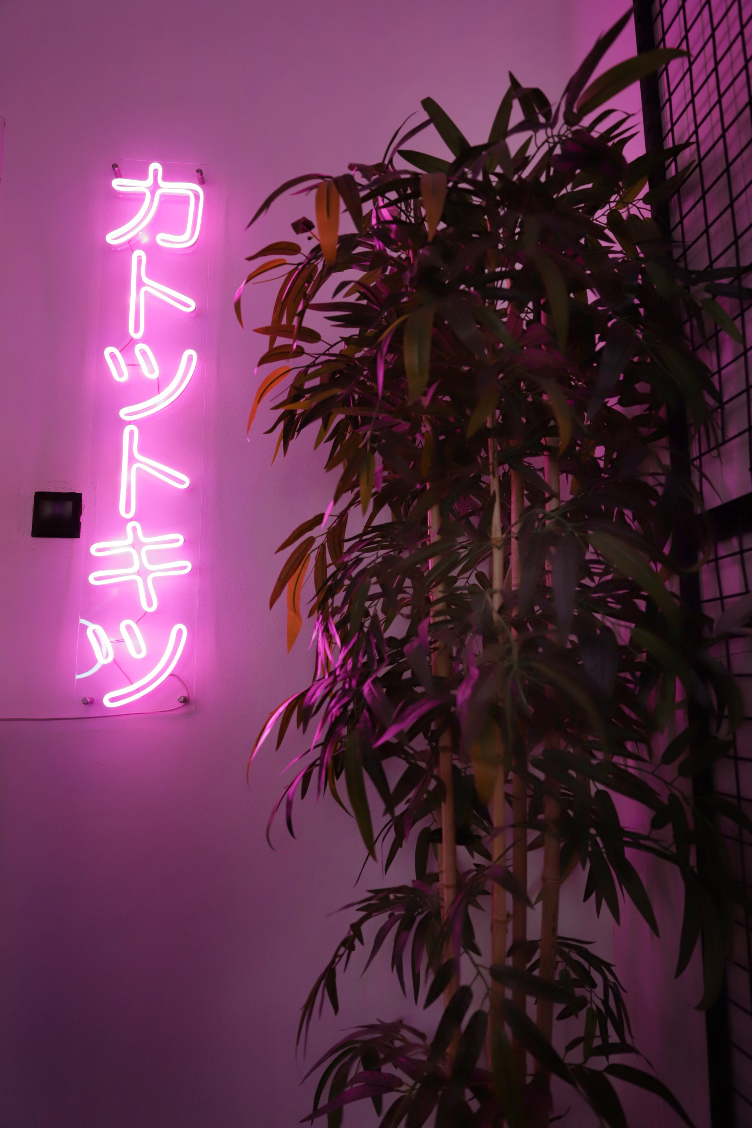 Влад и Даша. Светлана Иванова - профессиональный фотограф