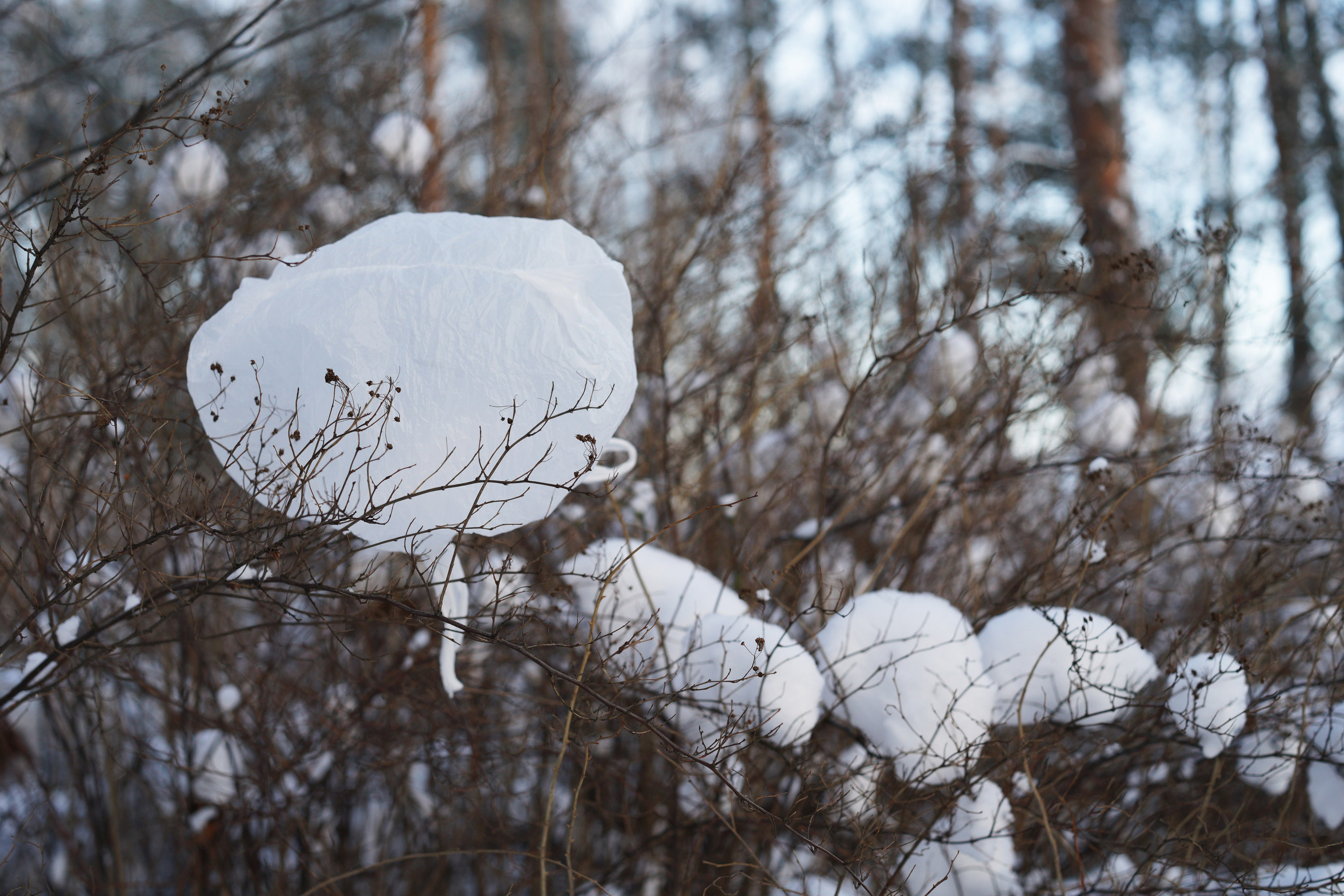 Курс «С нуля»