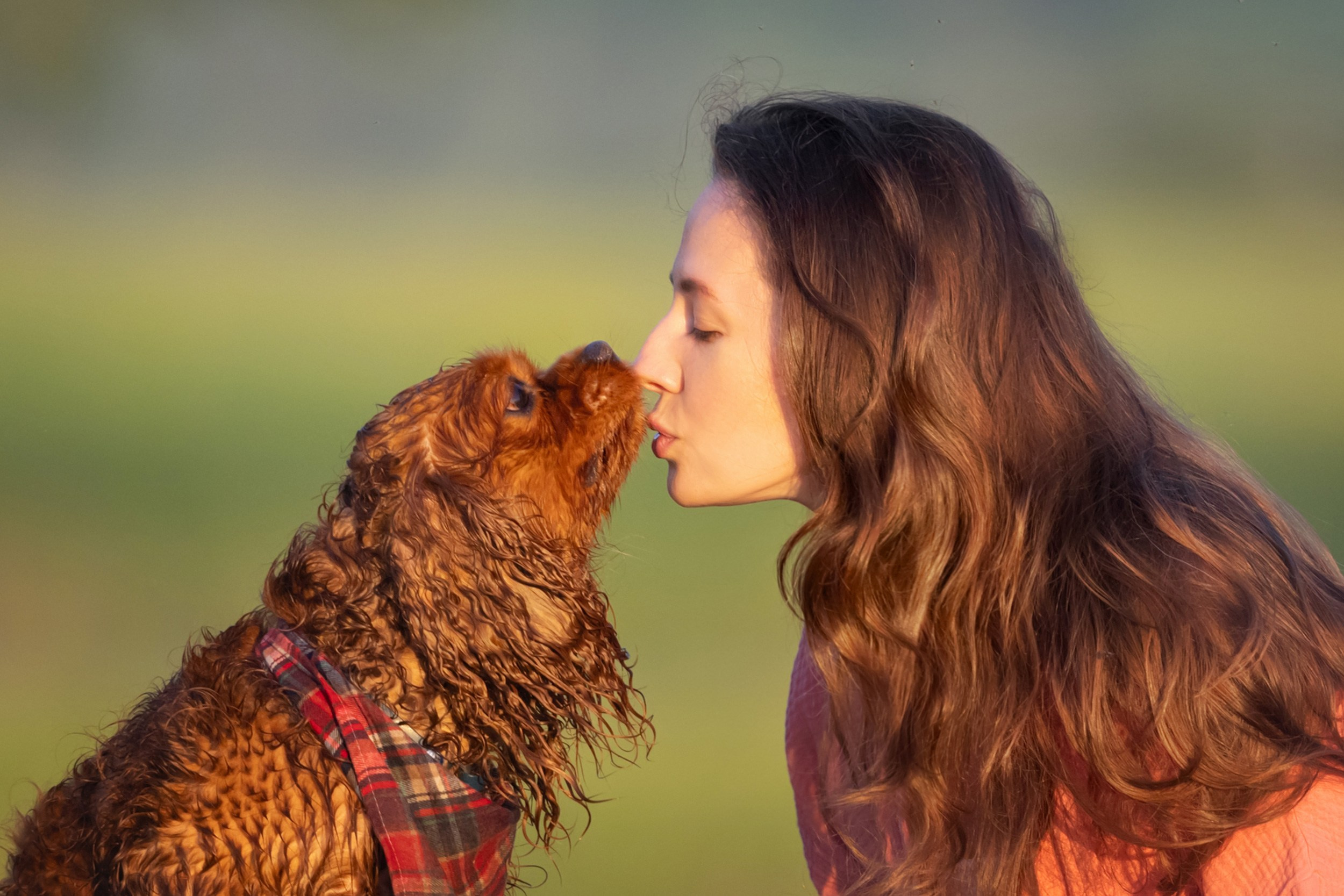 Обо мне. Фотограф анималист в Москве Ольга Агушева