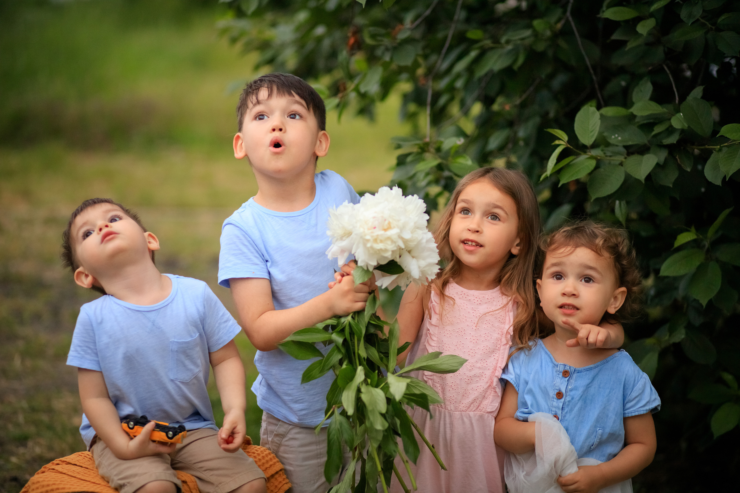 Пионы. Семейный и детский фотограф в Краснодаре Лафета Алена