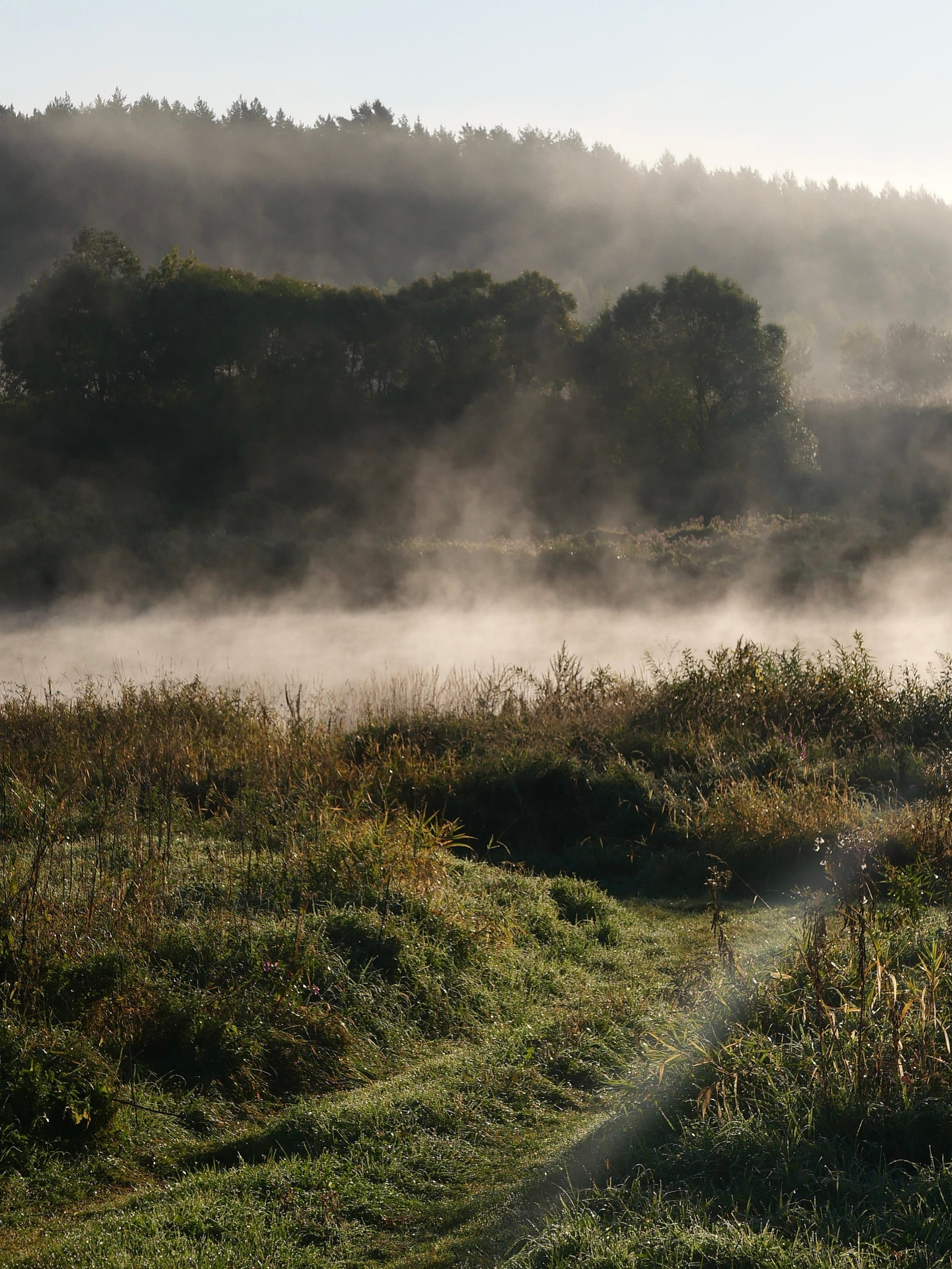 Принты. Марина Горбатова. Фотограф