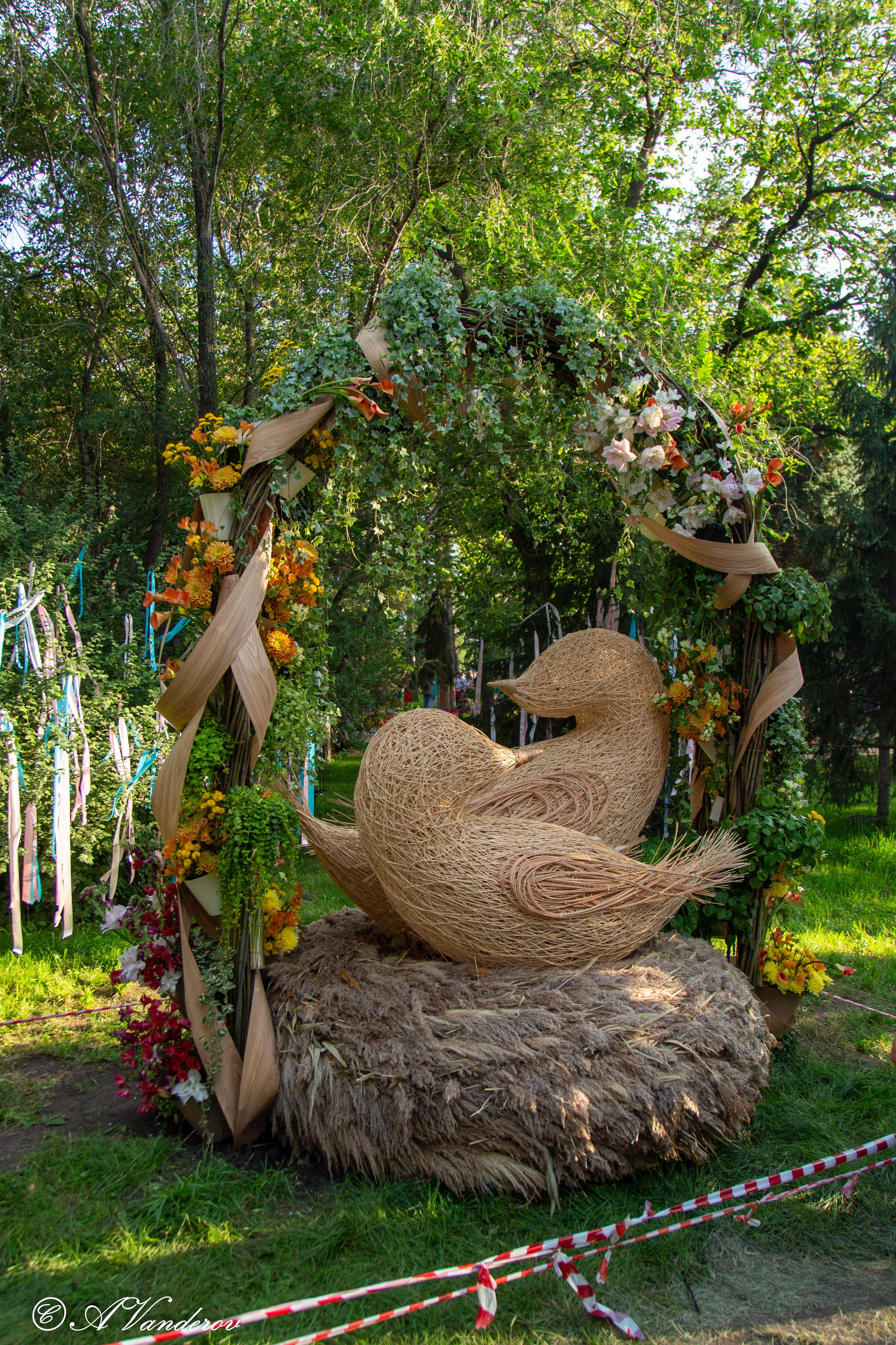 День города 03.08.2024. Фотограф Омск | Александр Вандеров