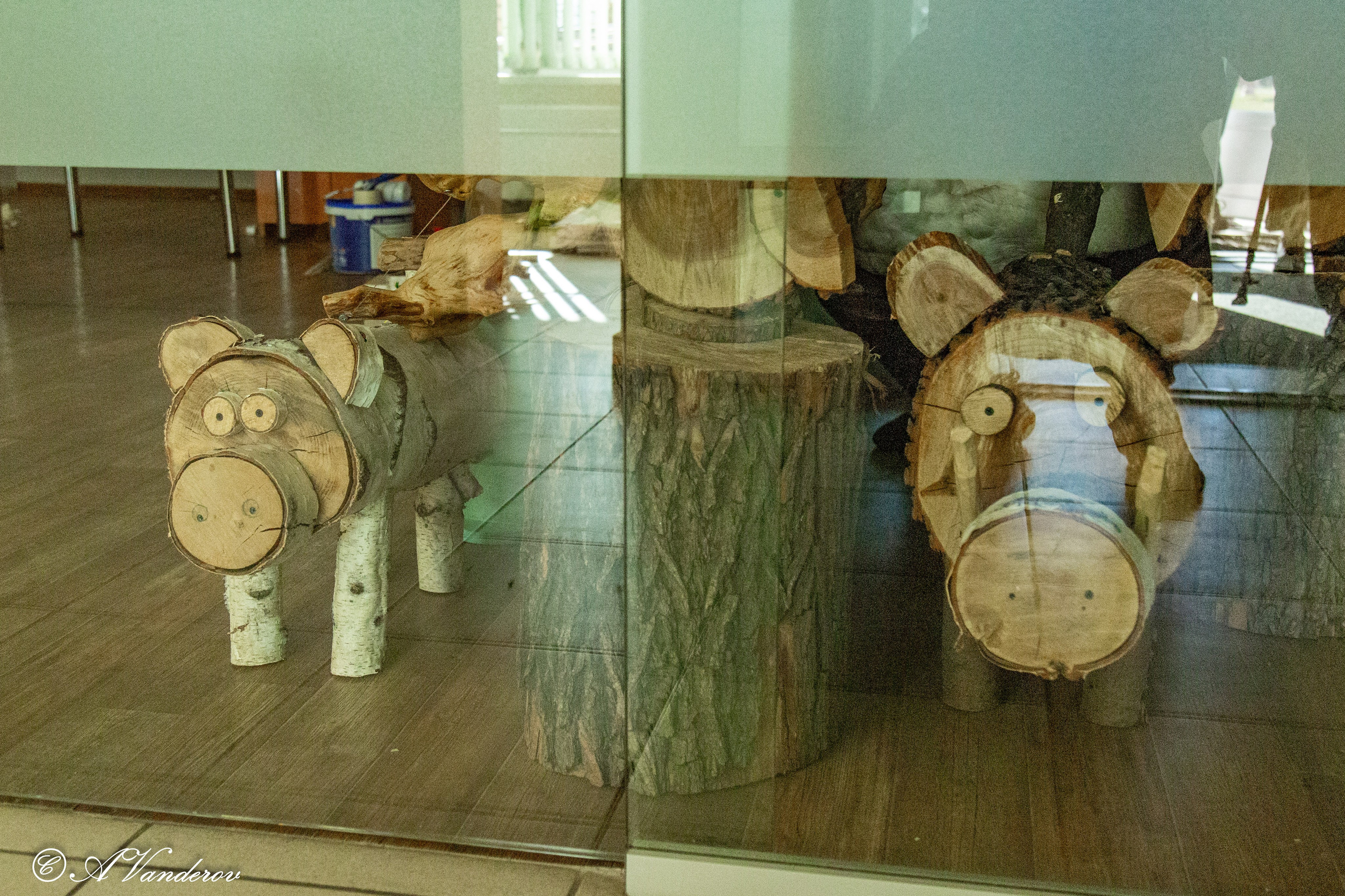 День ходьбы 2024. Фотограф Омск | Александр Вандеров