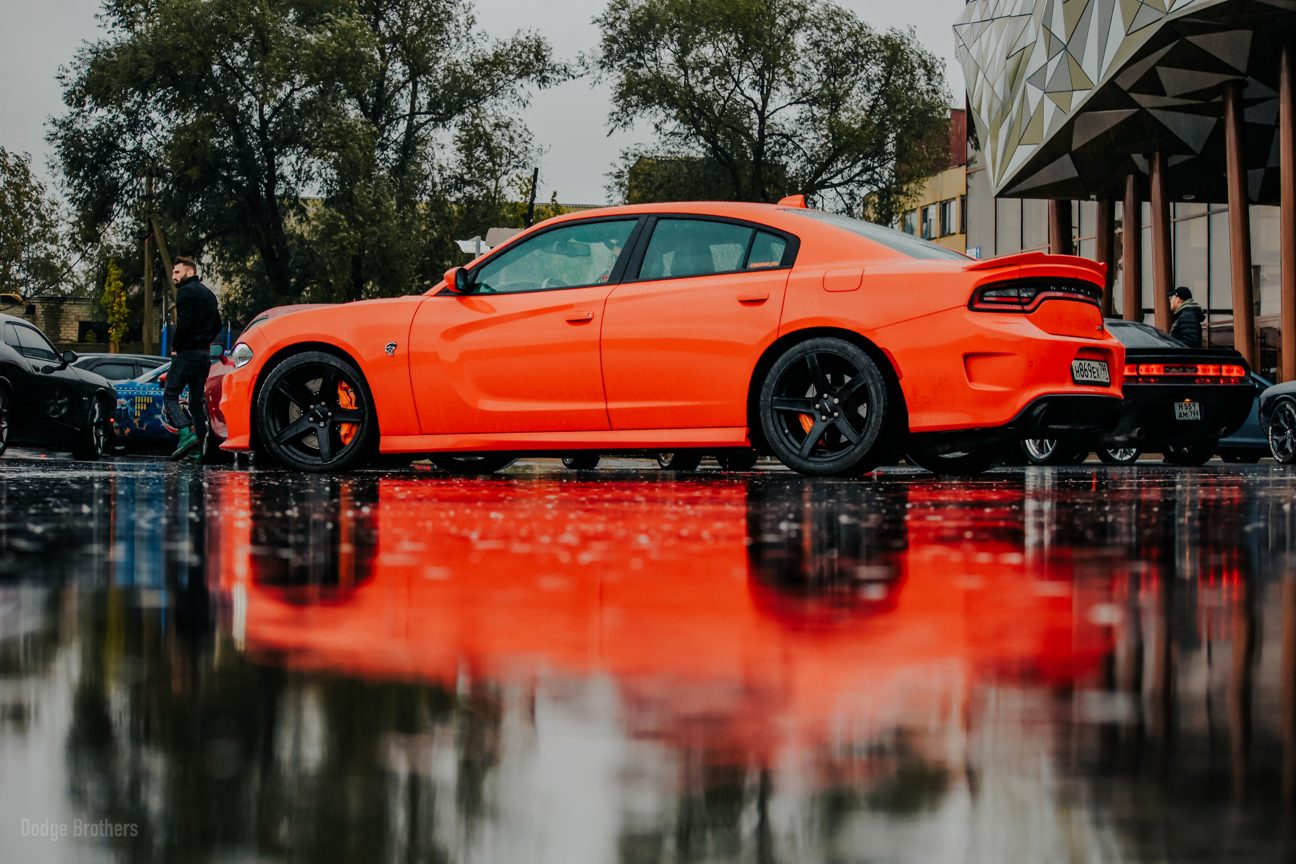 Услуги. Творческий фотограф Москва и МО Юлия Широкова