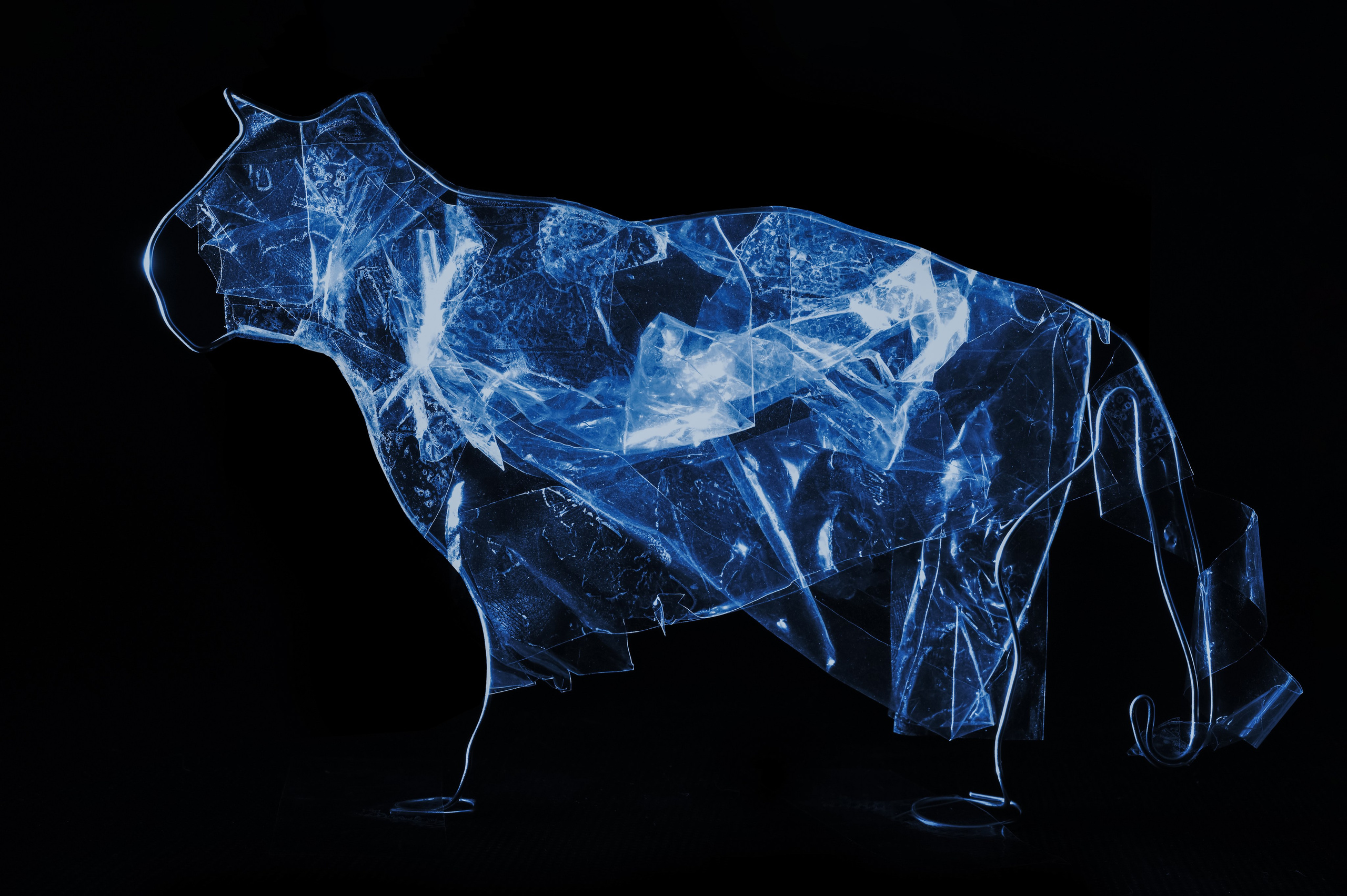 Яванский тигр — 1994.