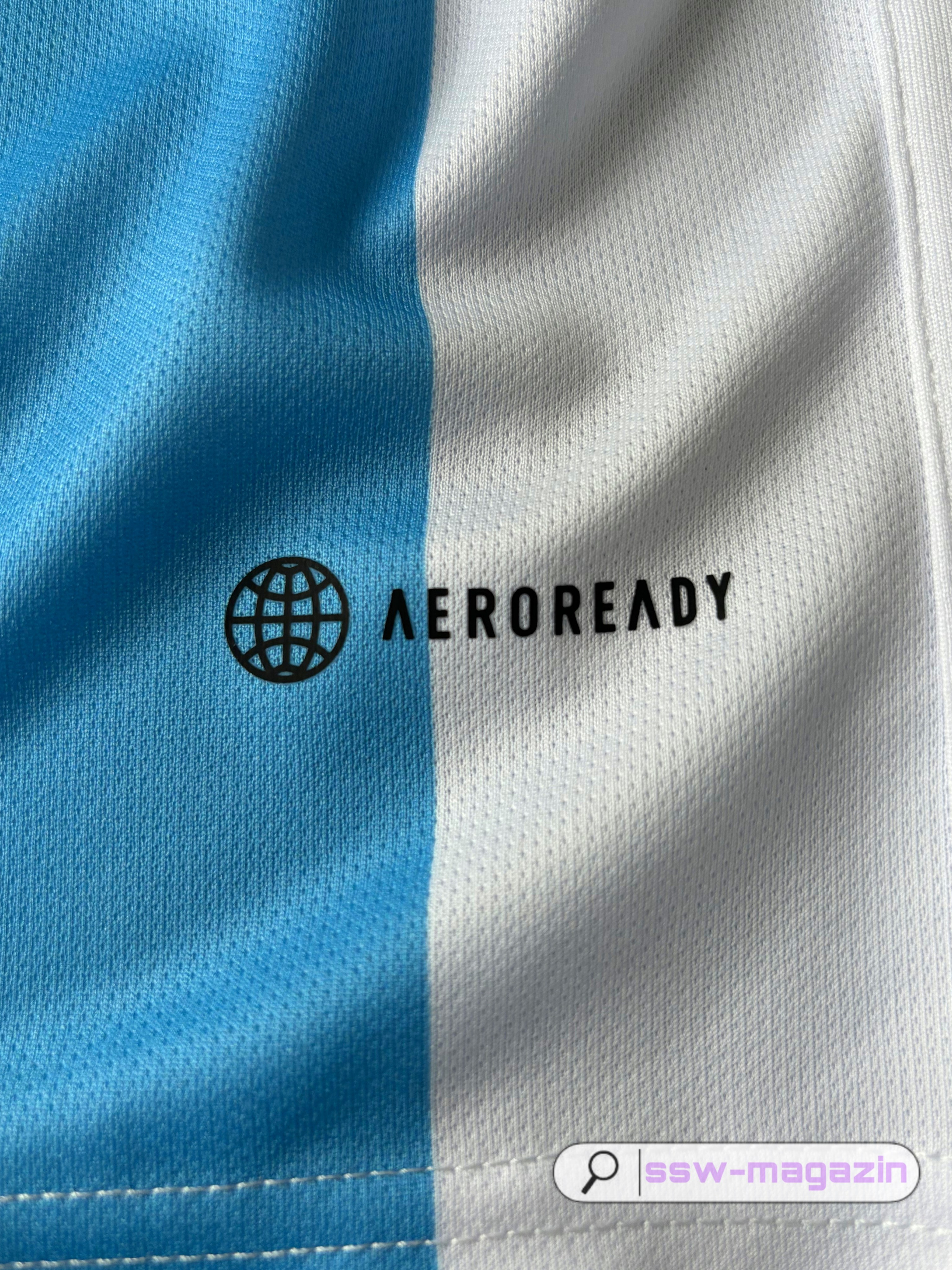 Джерси сборной Аргентины евро 2024 купить. Футбольный магазин — ssw_magazin