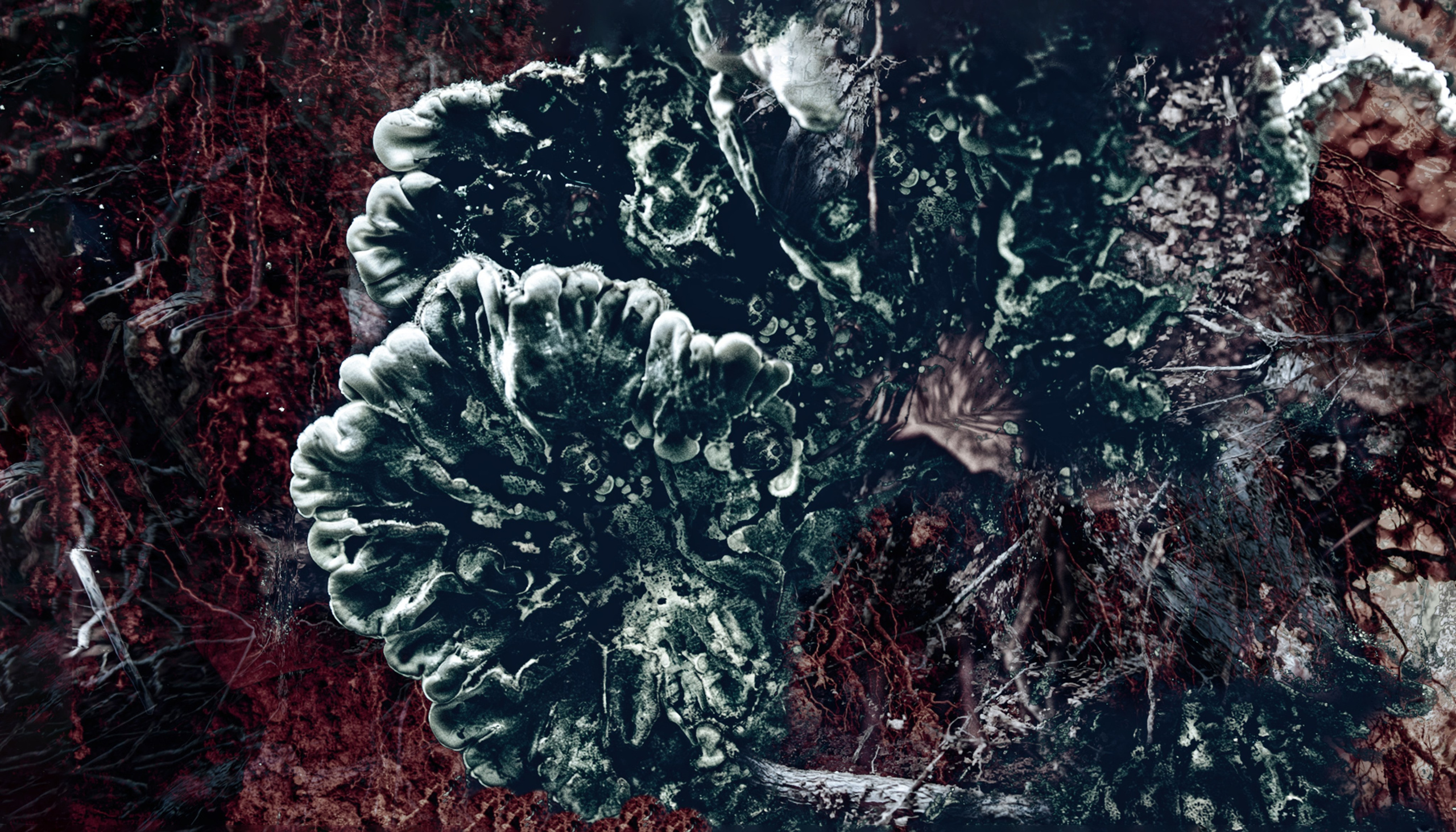 Творчество. Фотограф в Сочи Елена Лисотина. Фототуры в Сочи