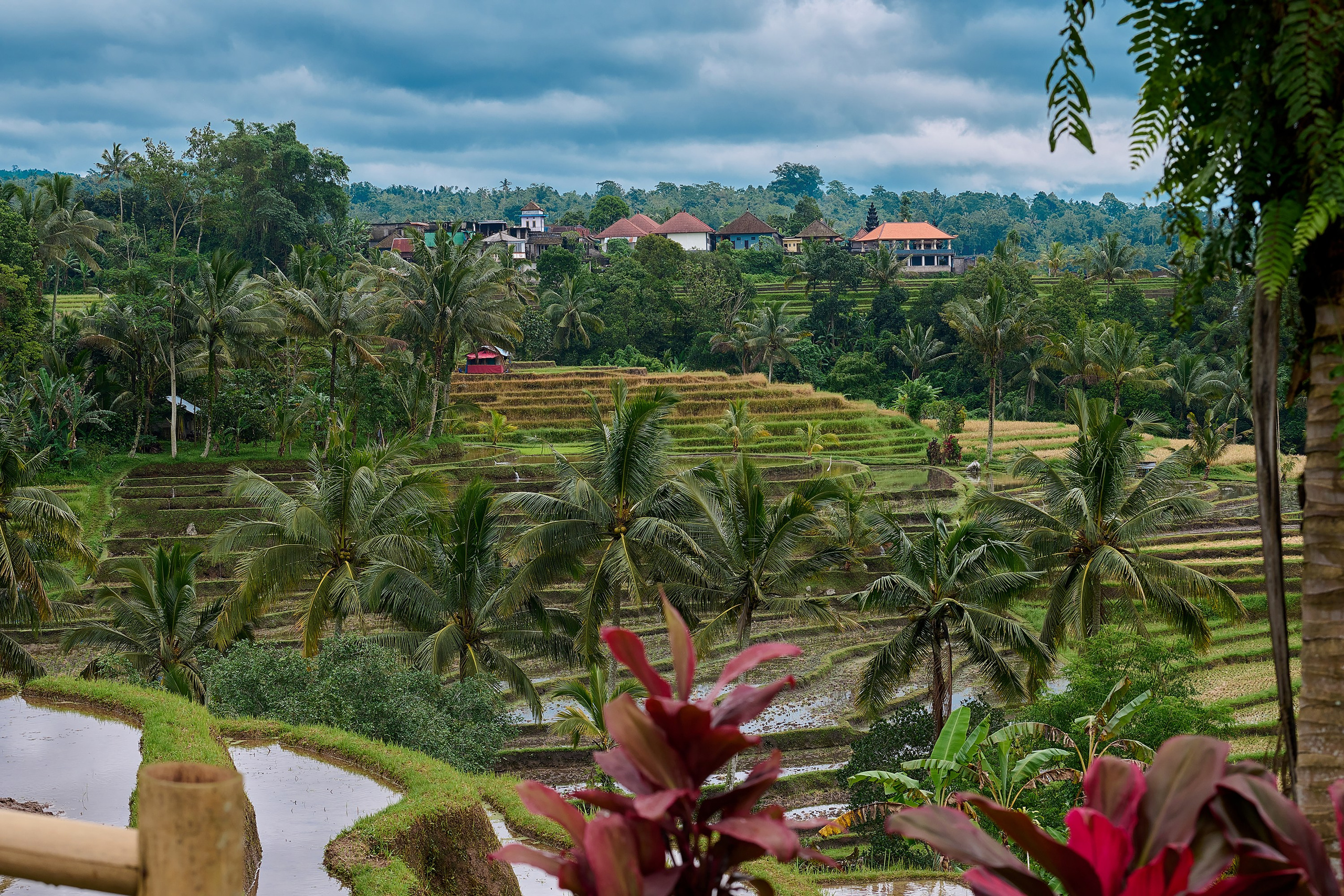 Пейзажи. Яркие фото на Чёрном море