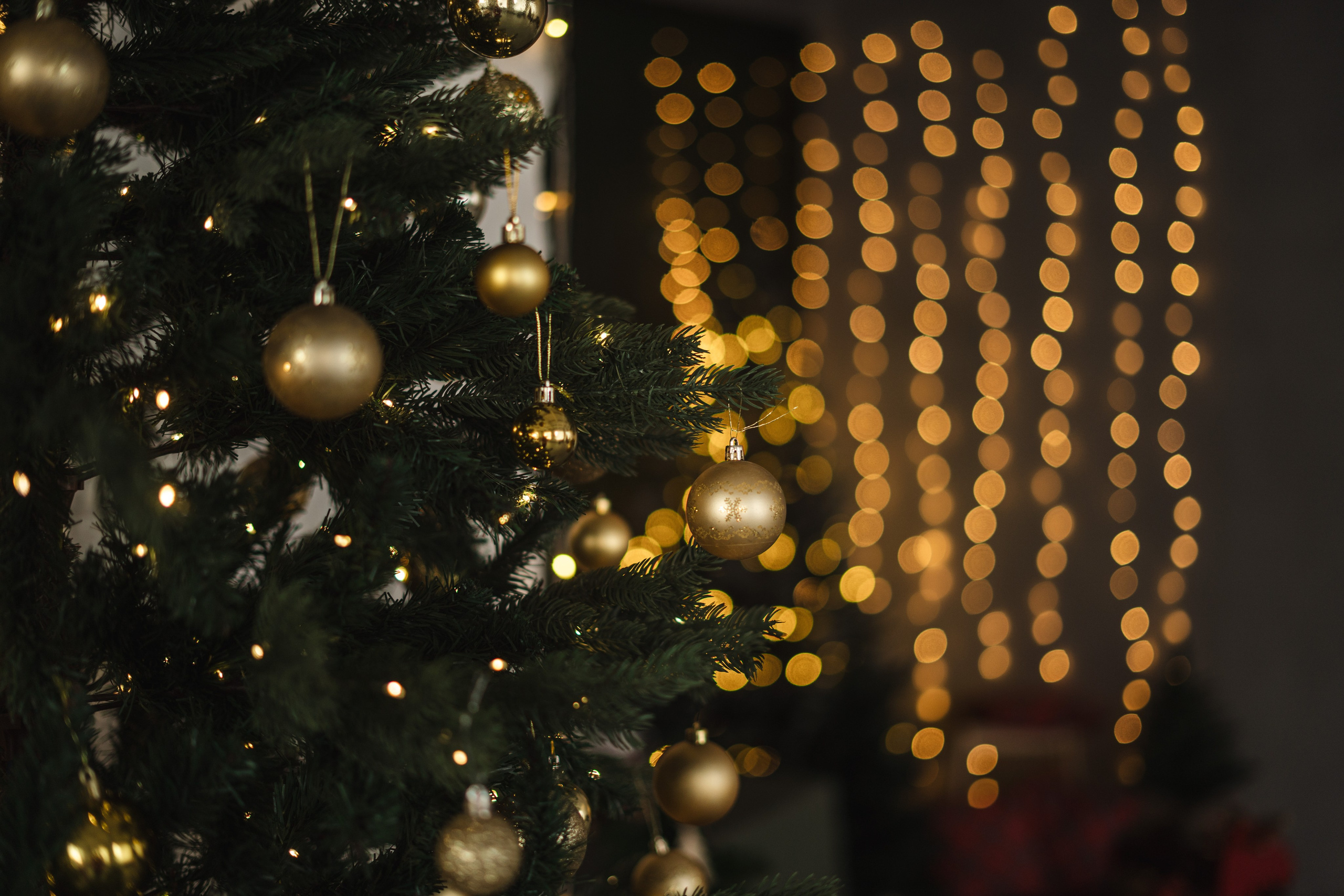 Фотостудия Импульс Новый год 2026 зал Life Лайф