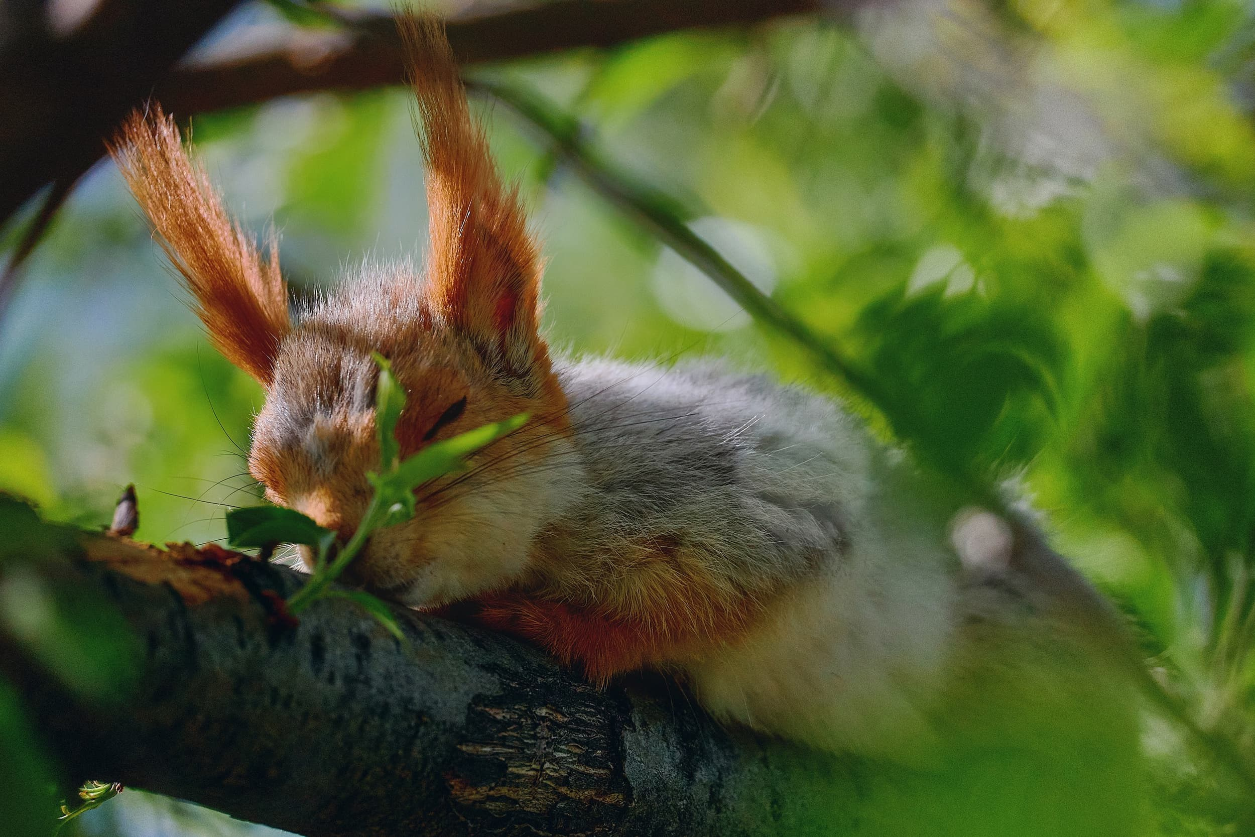 Бесплатный урок. Международная онлайн-фотошкола Сергея Рожнова