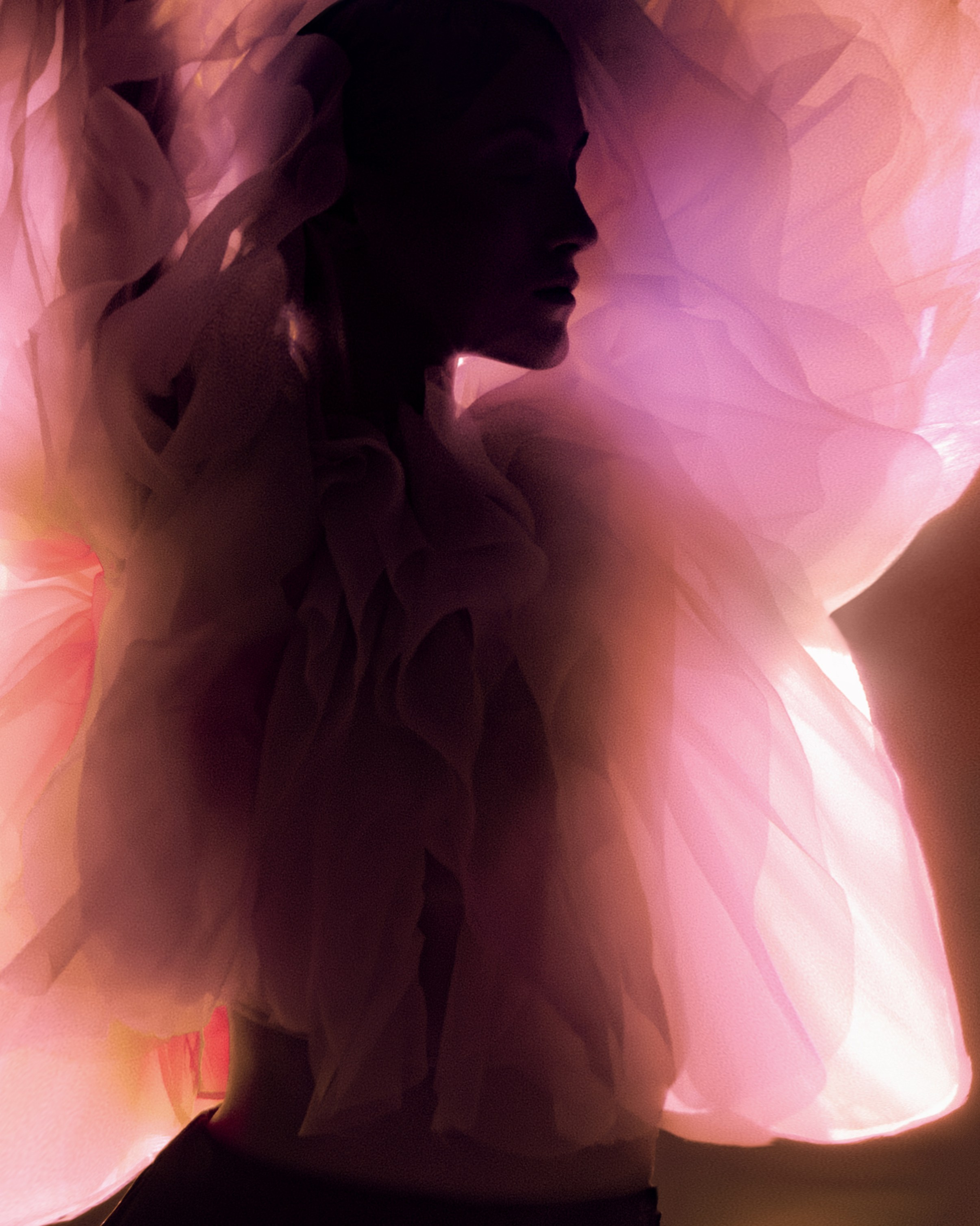 Photo. Главная