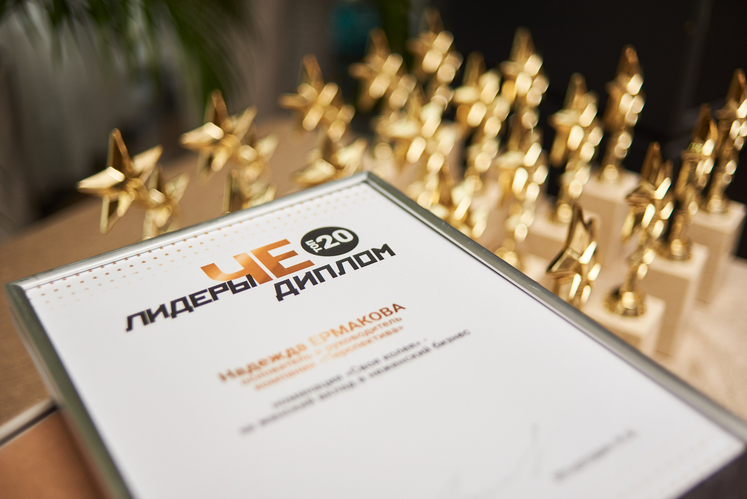 Диплом для финалистов проекта Лидеры ЧЕ ТОП-20