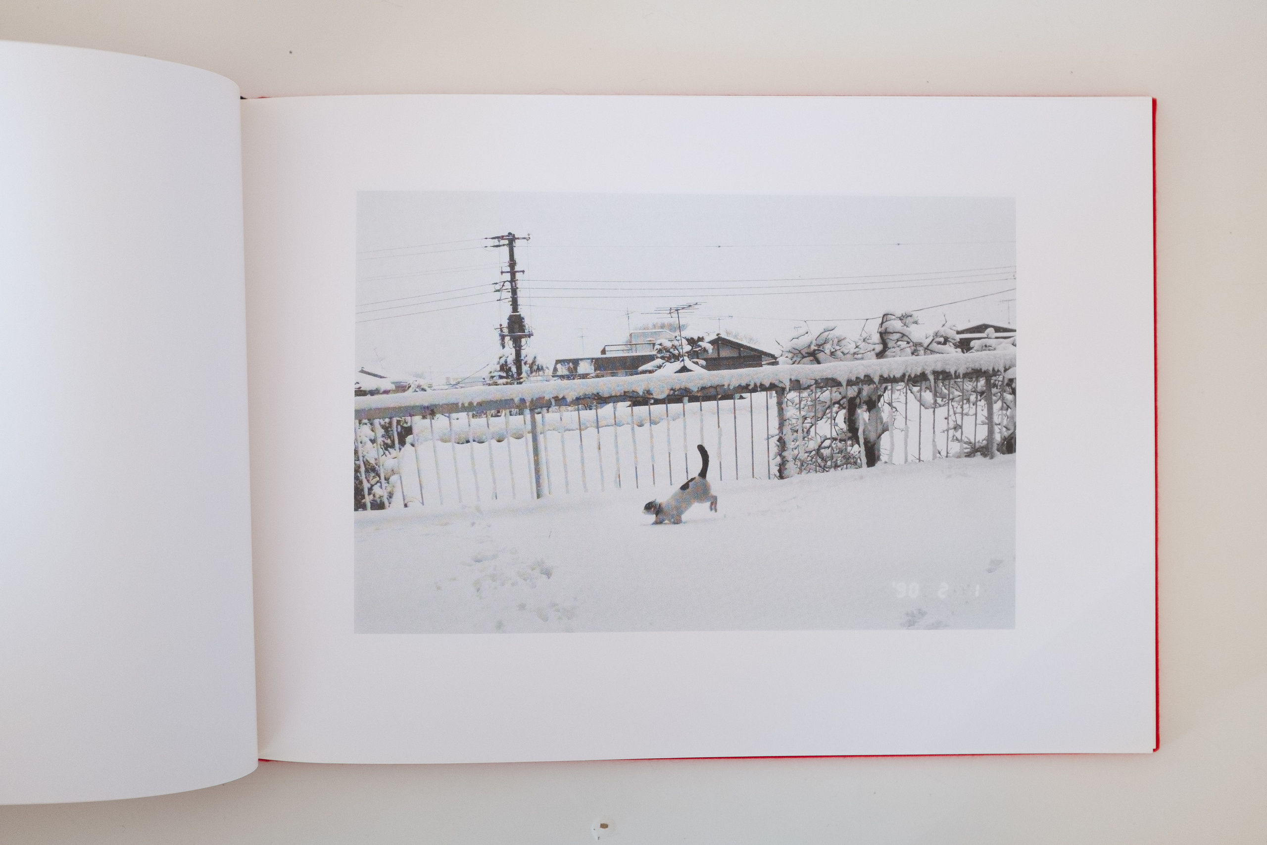 Фотокнижная библиотека Дмитрия Ширшова. Фотограф и исследователь фотографии из Санкт-Петербурга Елизавета Веприцкая