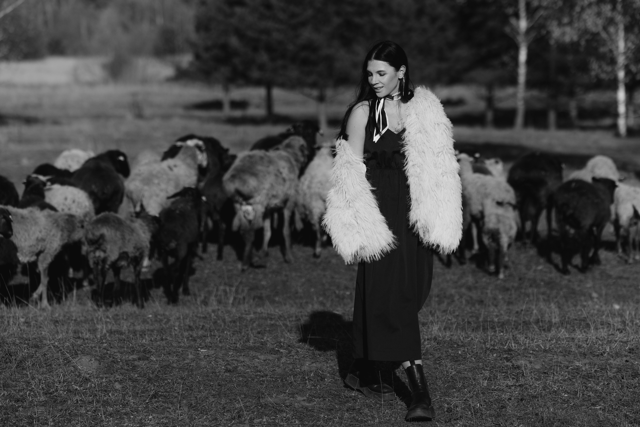 Охота на овец