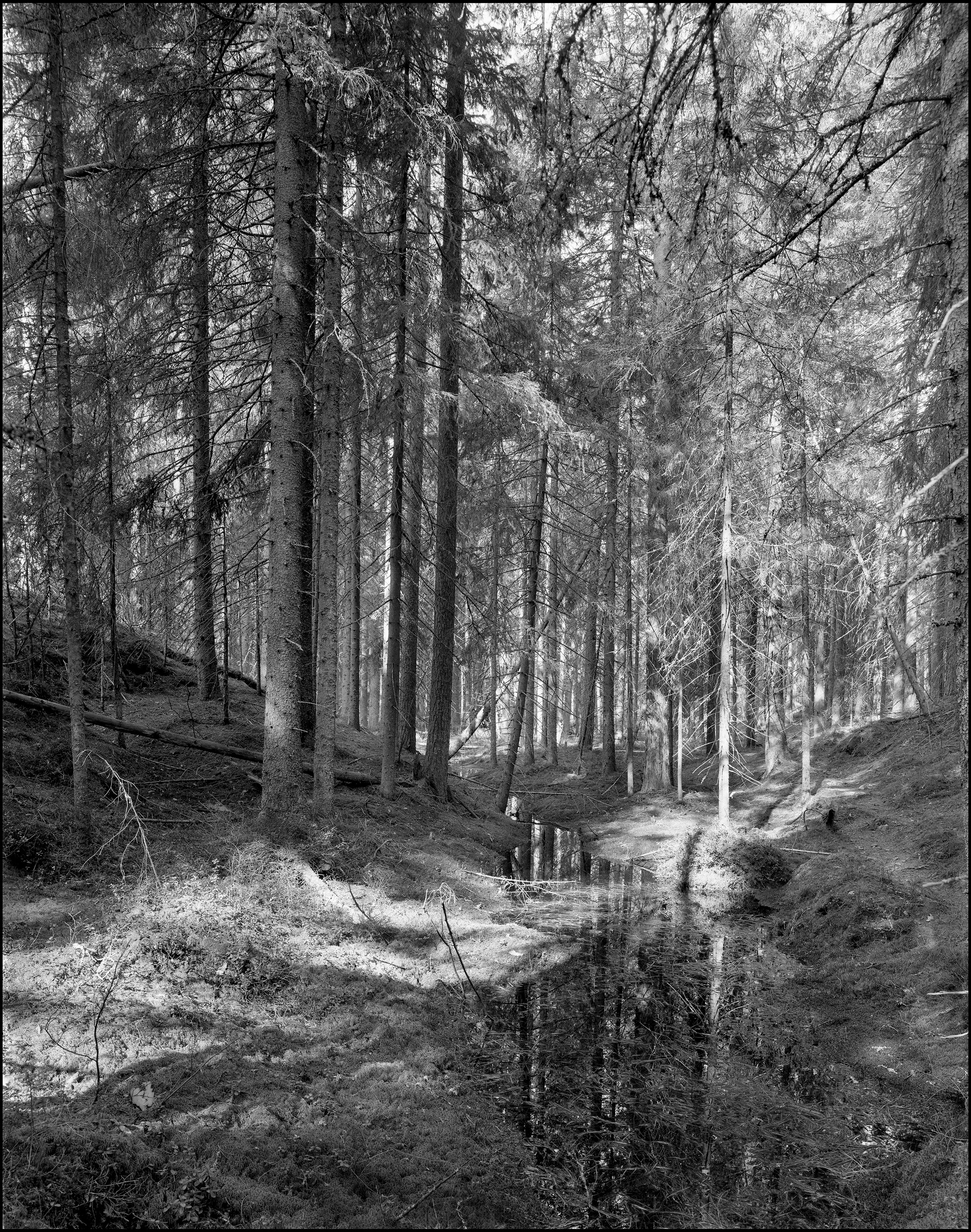 Landscape. Sergey Kondriuk art-photographer | artist