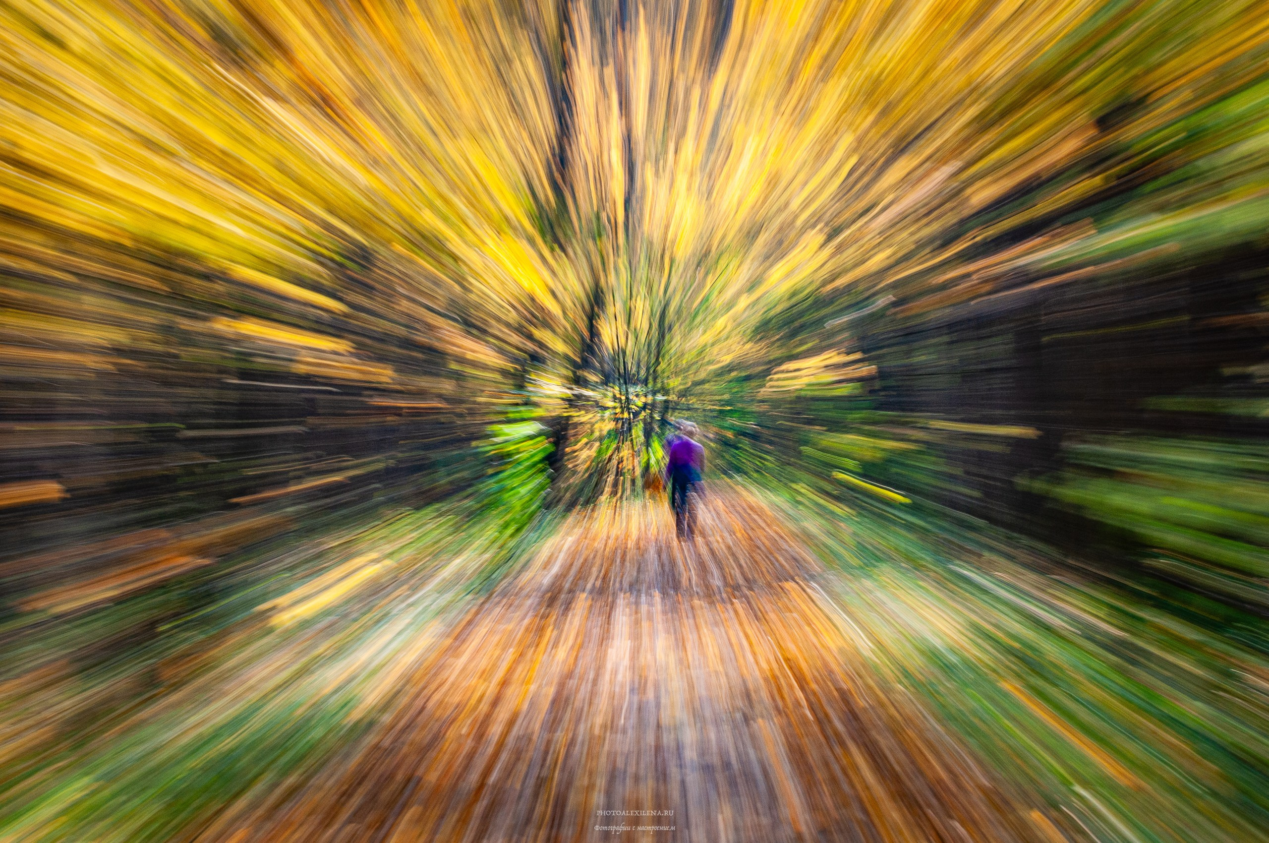 Что такое осень?. Авторские стильные фотокартины