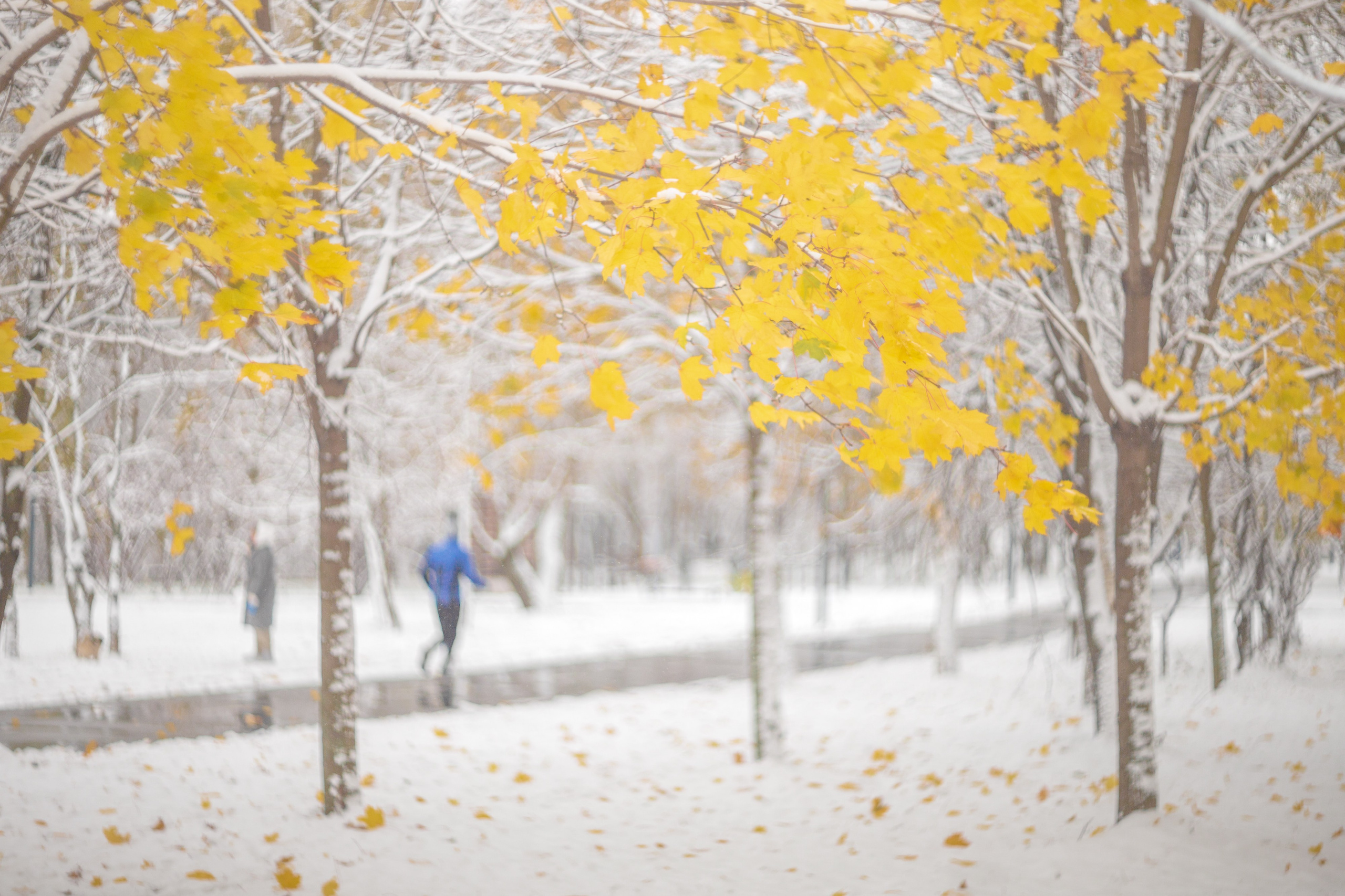 Серия «Цвет переосмыслений». Фотограф в Москве Татьяна Макотра