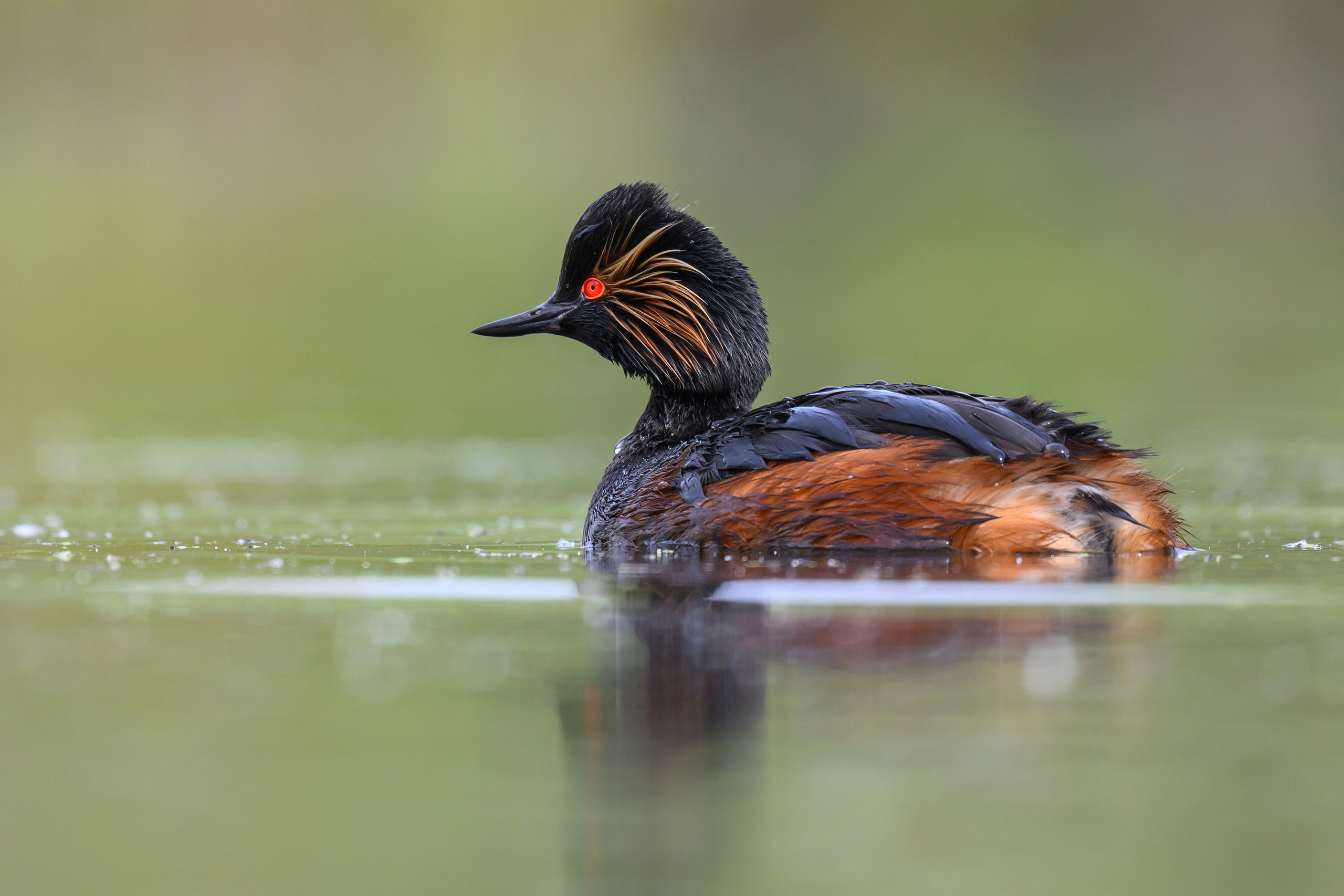 Мягкий свет. Фотограф Сергей Пупонин