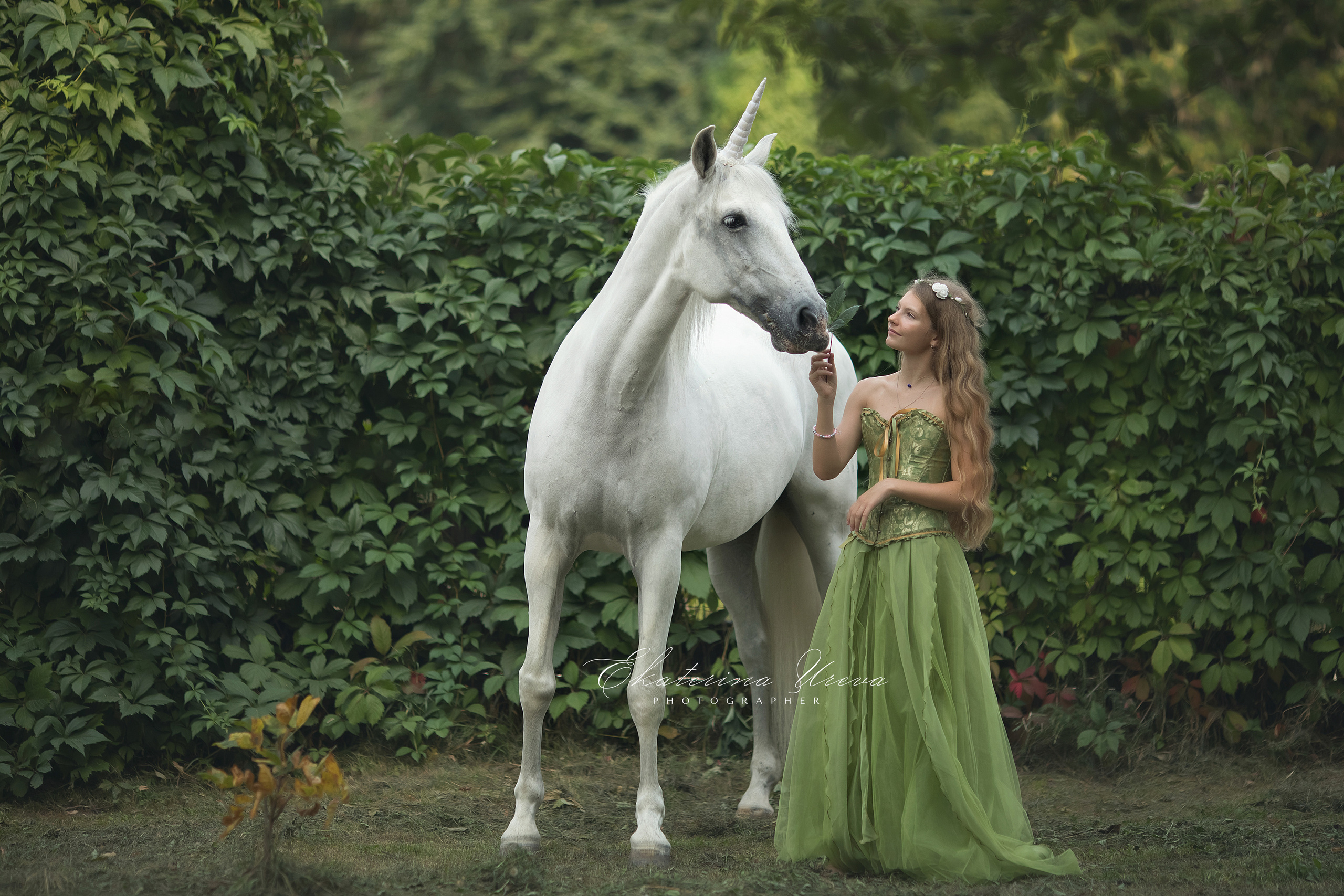 Фотопроект Волшебный лес. Детский и семейный фотограф Екатерина Юрьева в Москве