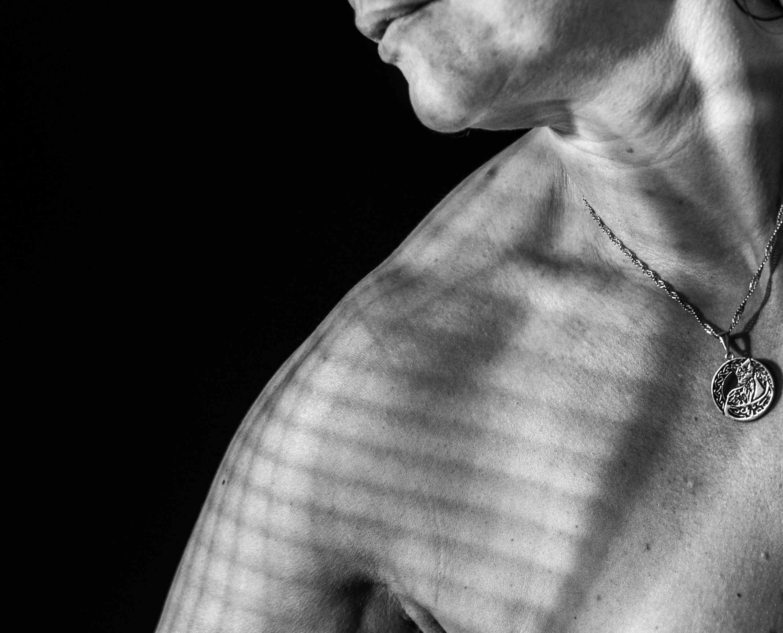 Три точки опоры. Главная