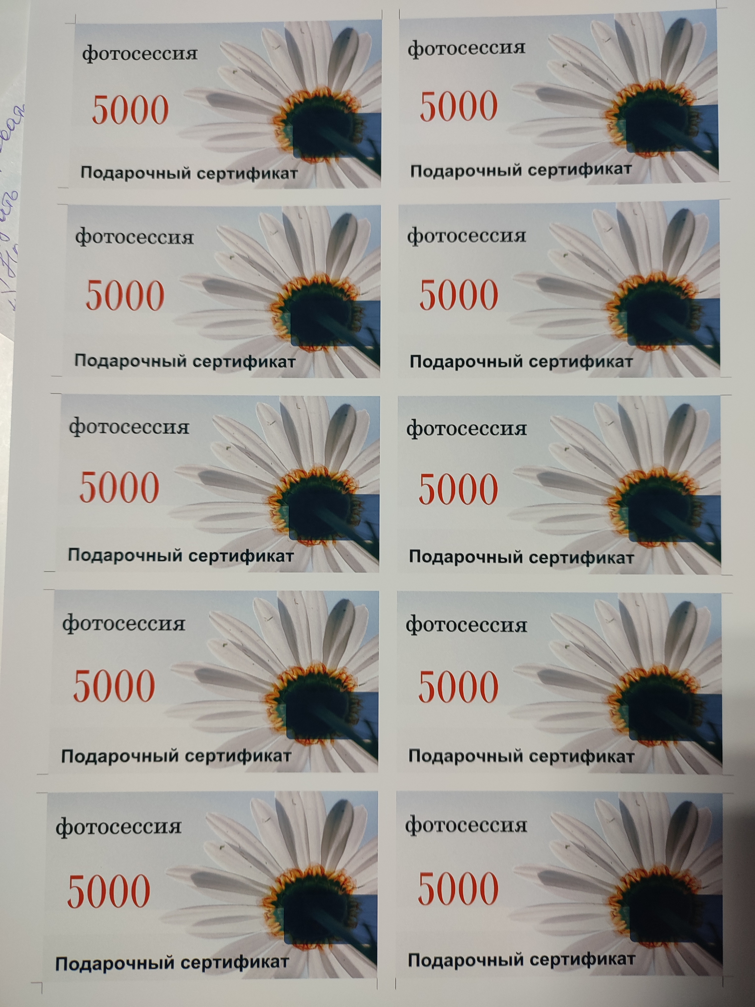 Фотограф Татьяна Марсуверских г. Жуковский, Москва. Репортаж, артфотограф, подарочные сертификаты на фотосессию. Фотограф для маркетплейсов, фотоуслуги в Жуковском Татьяна Марсуверских