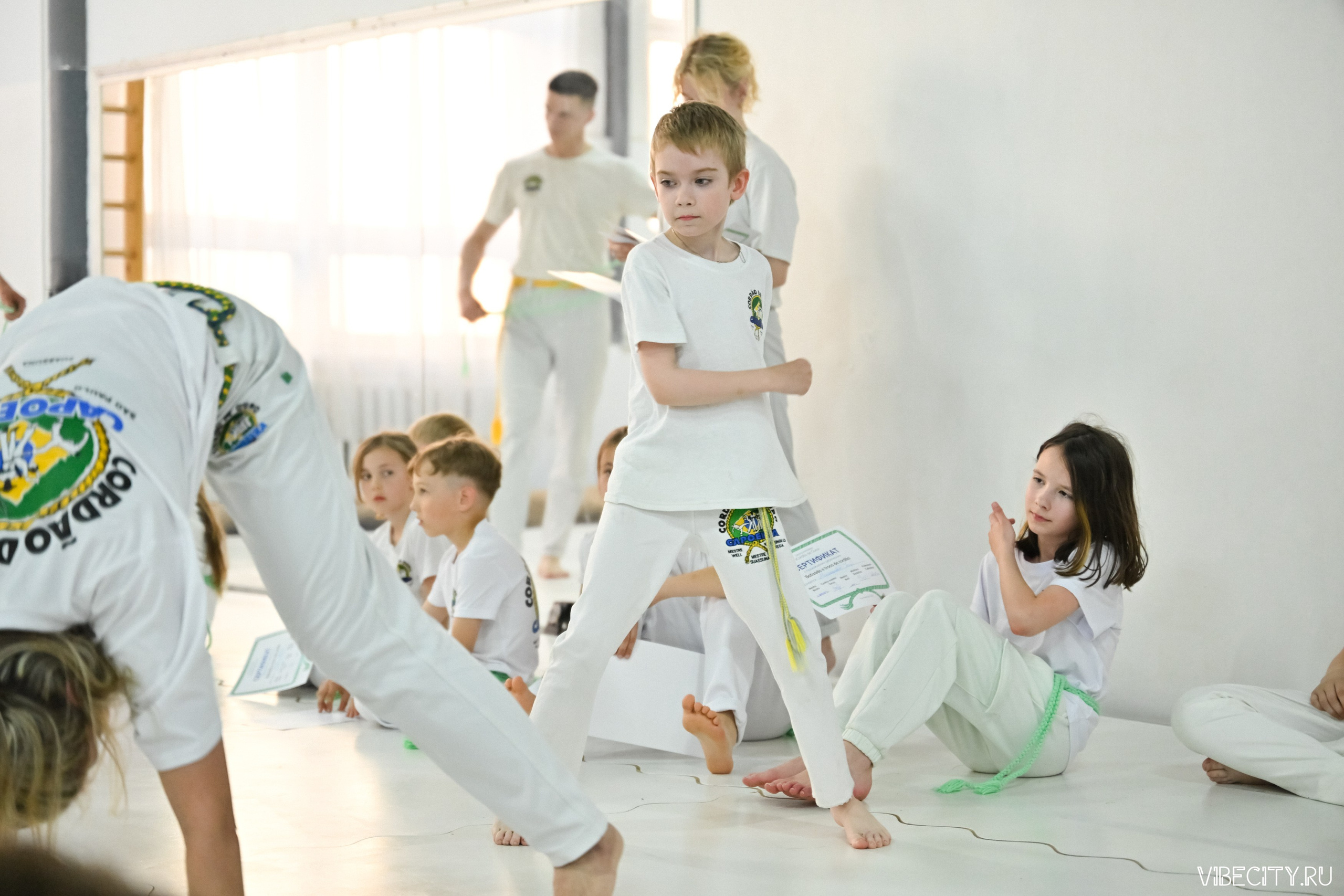 Capoeira: 4-е batizado e Troca de cordao. VIBECITY.RU Вайб Сити Ру Фоторепортажи Фотоотчеты Калининград