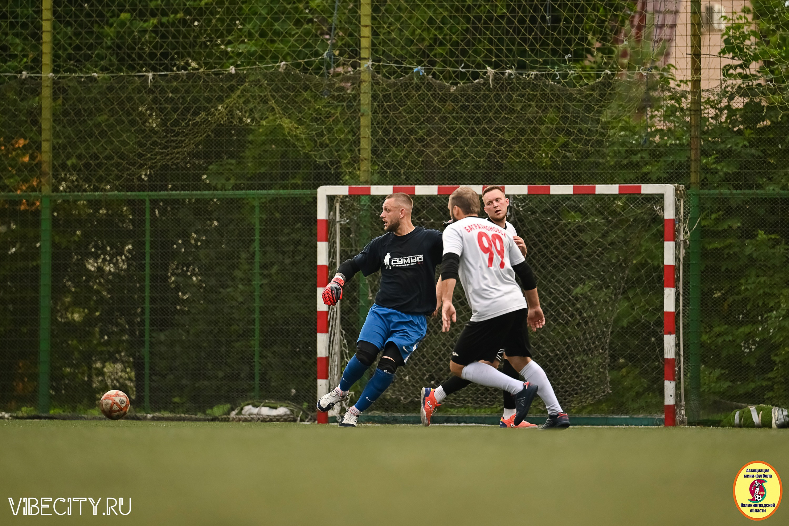ИГРЫ МИНИ-ФУТБОЛЬНОЙ И КОРПОРАТИВНОЙ ЛИГИ. VIBECITY.RU Вайб Сити Ру Фоторепортажи Фотоотчеты Калининград