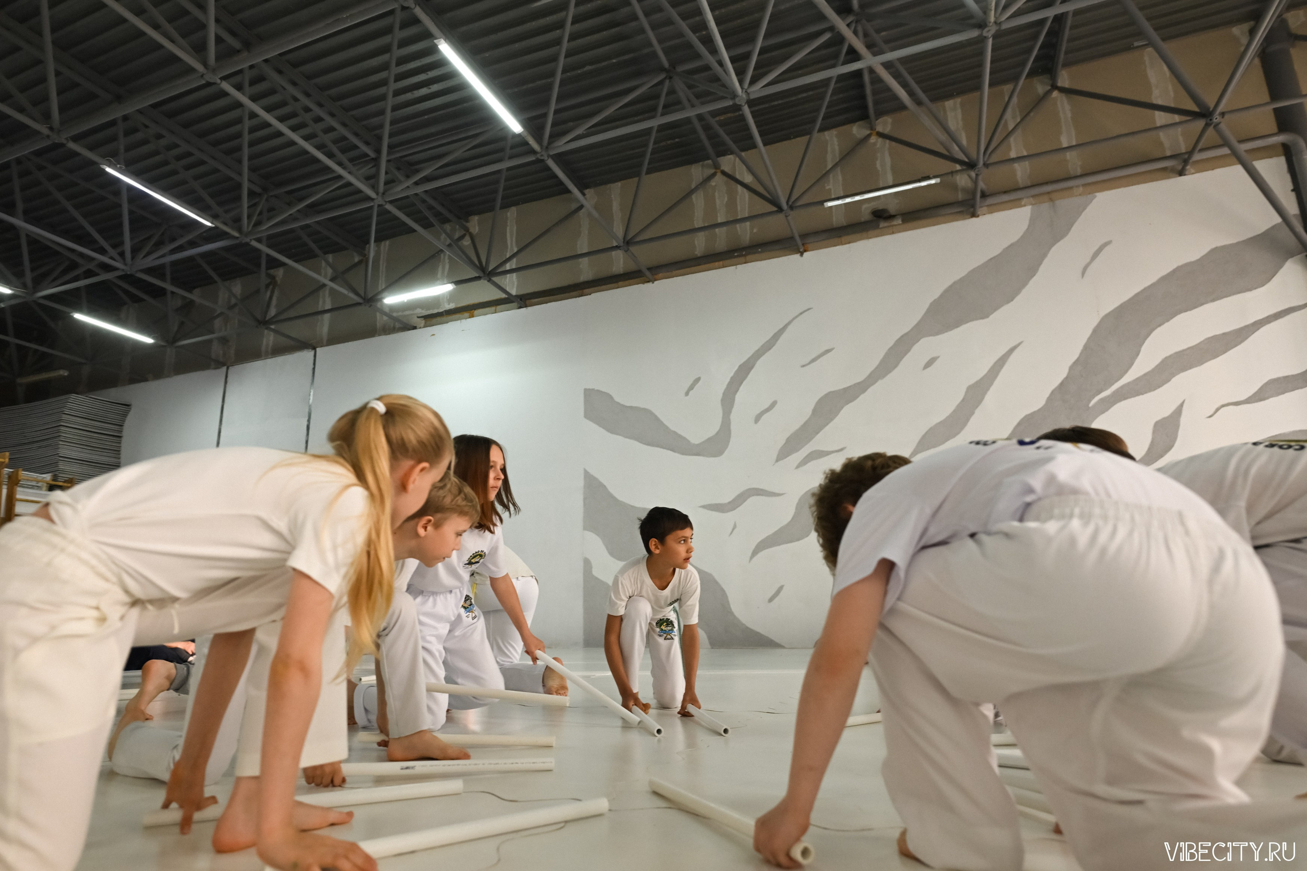Capoeira: 4-е batizado e Troca de cordao. VIBECITY.RU Вайб Сити Ру Фоторепортажи Фотоотчеты Калининград