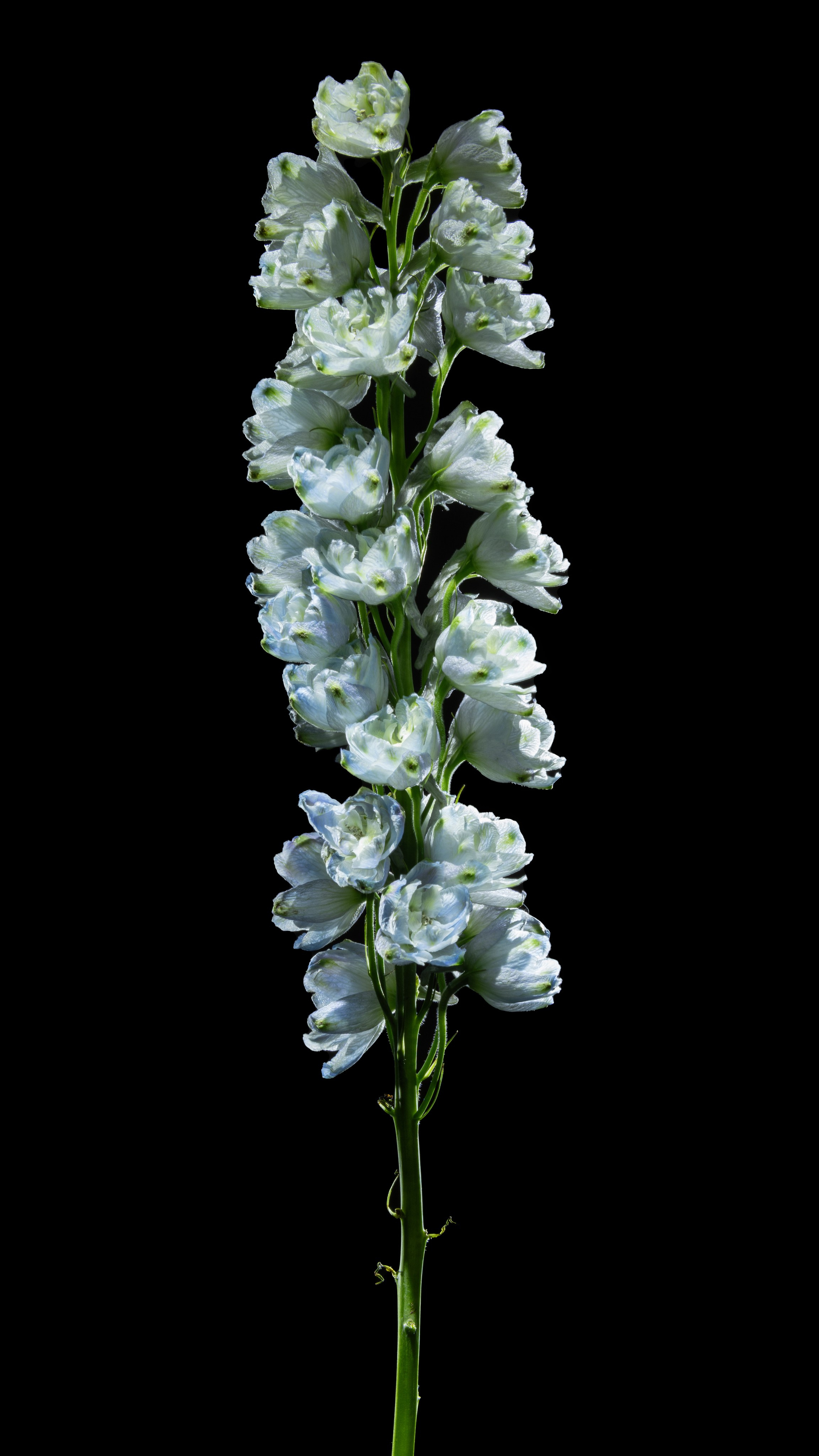 Проекты. Sakunov Photo