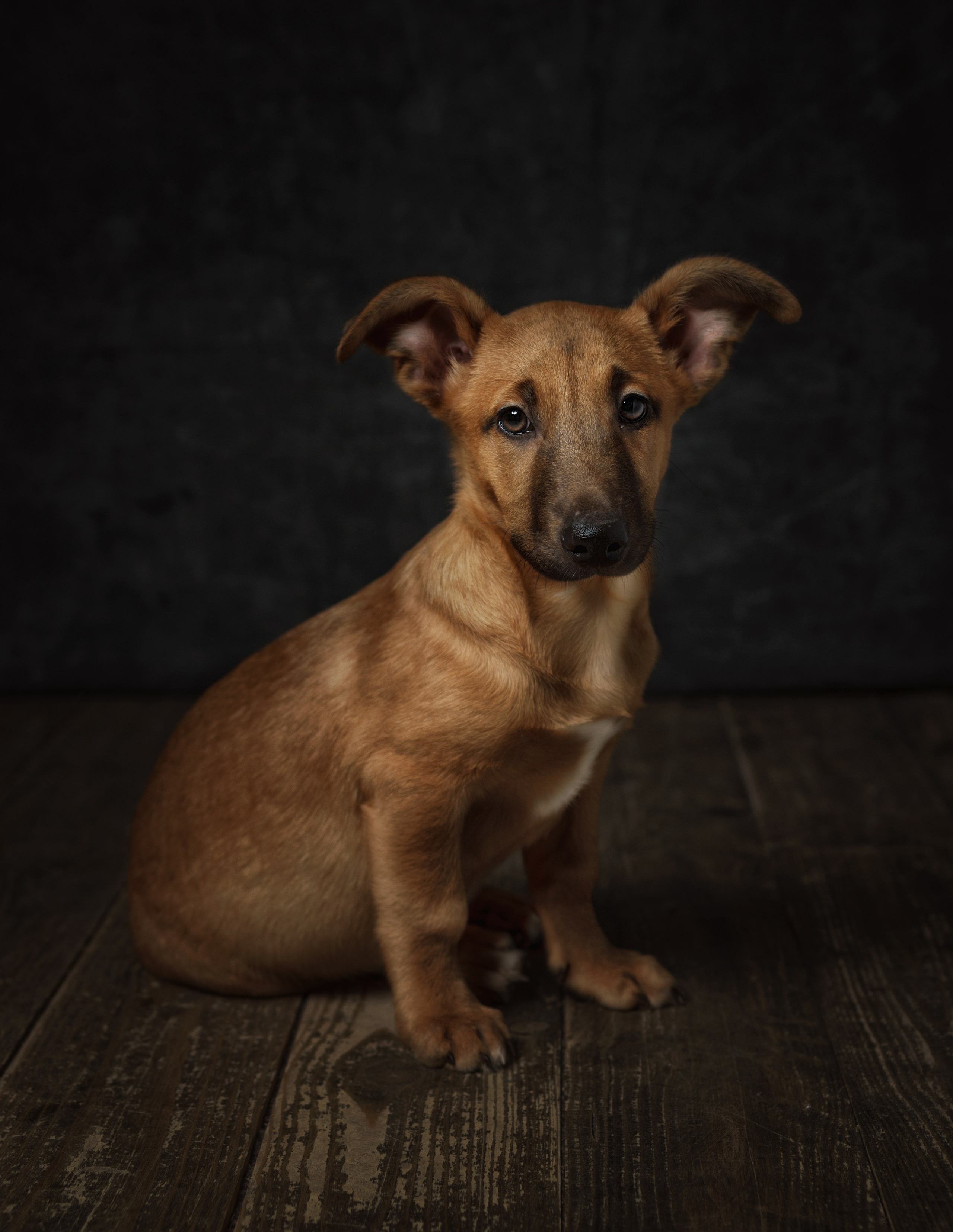 ДРУГ, НАЙДИСЬ. Антон Тимошевский, профессиональный портретный фотограф в Москве и Орле