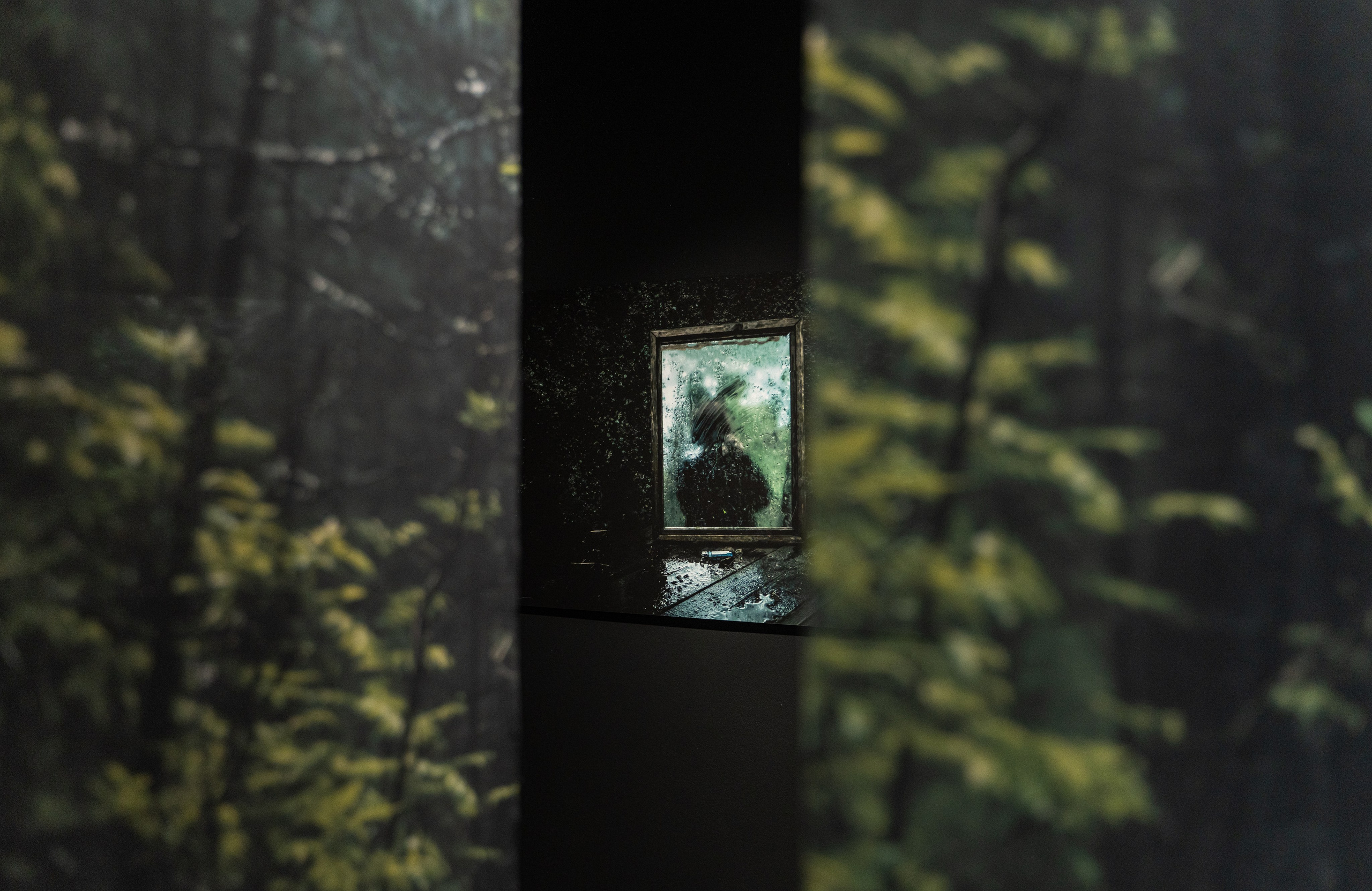 Пристанище. Элина Гусарова