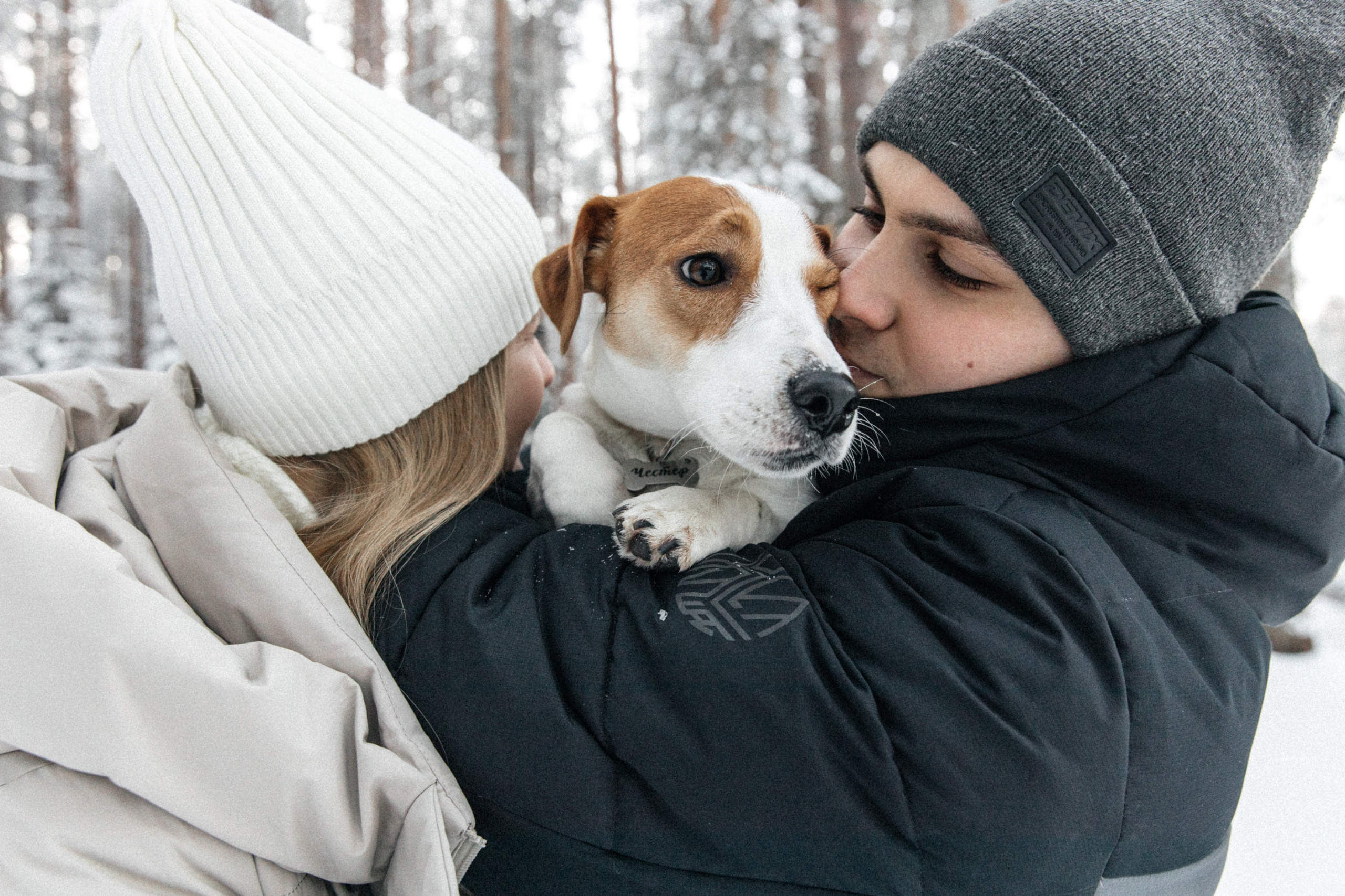 Света, Саша и Честер 🐾. Свадебный фотограф Настя Шелл г. Череповец