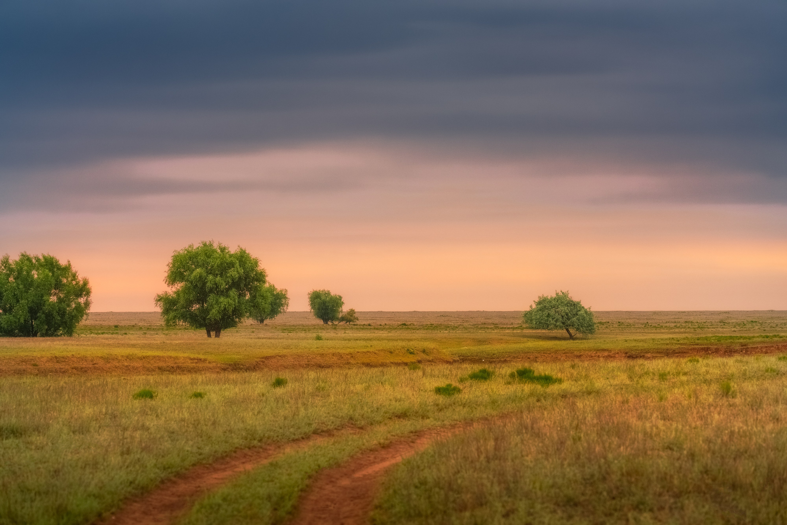 Учебный фототур на Эльтон. Июнь