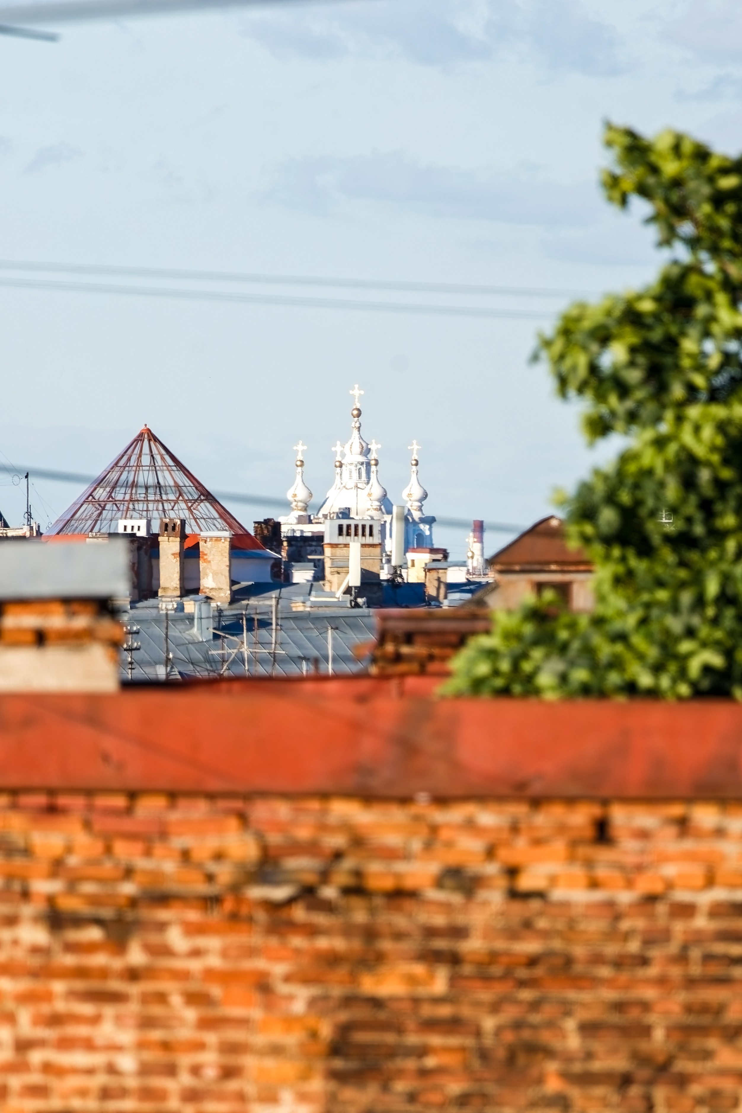 Вид на Смольный собор со смотровой площадки Бертгольд центра Санкт-Петербург