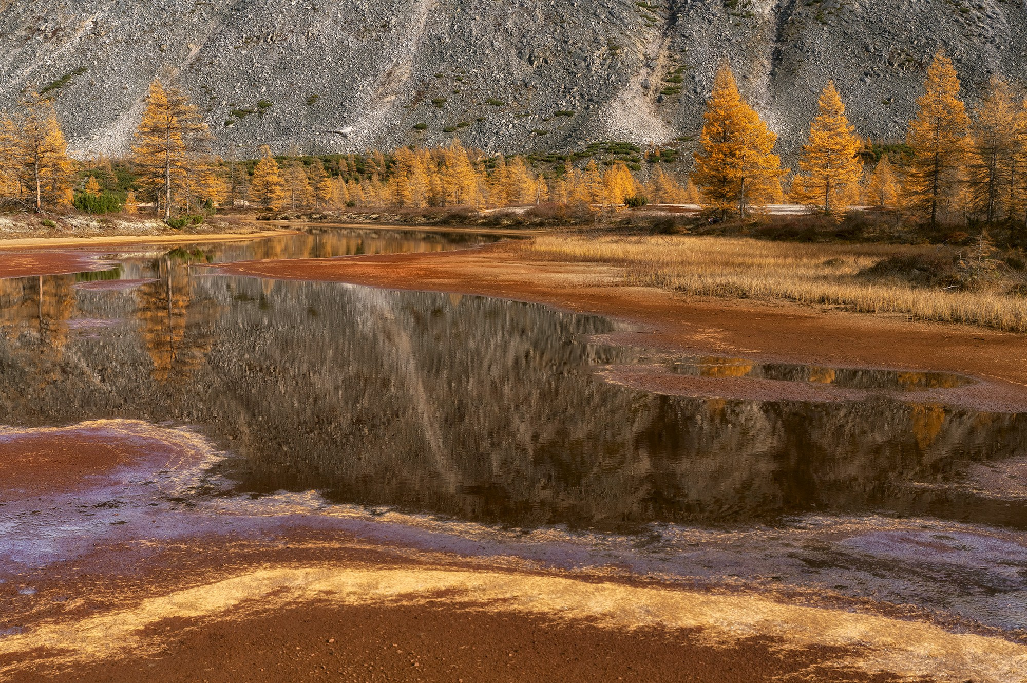 Озеро Юг. Колымский край. 2026