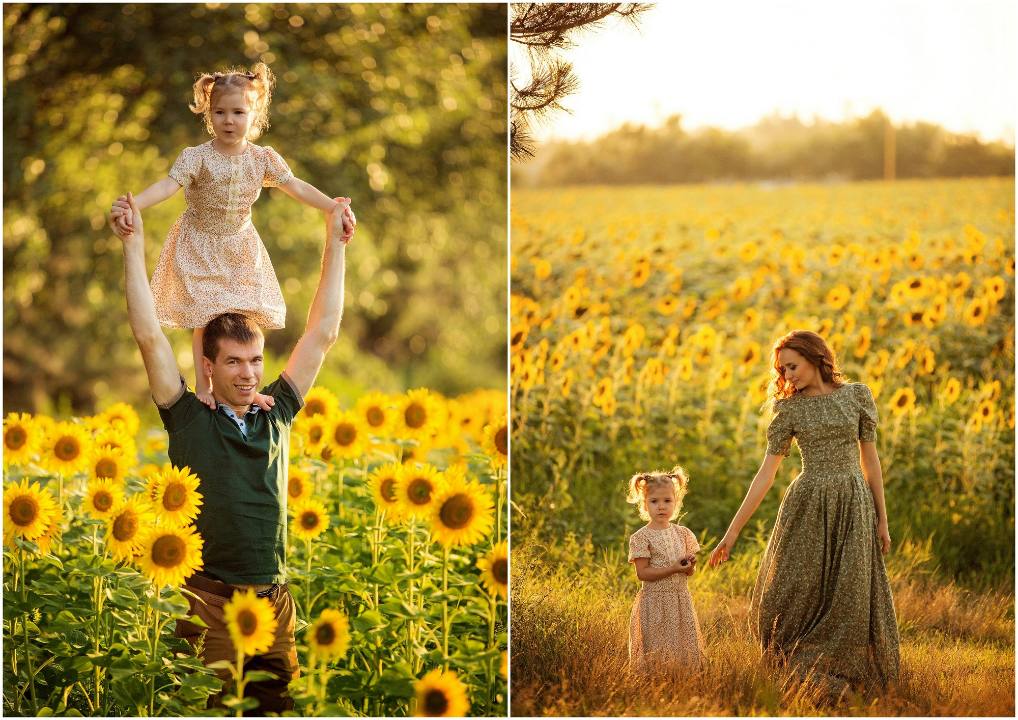 Семейная фотосессия в подсолнухах