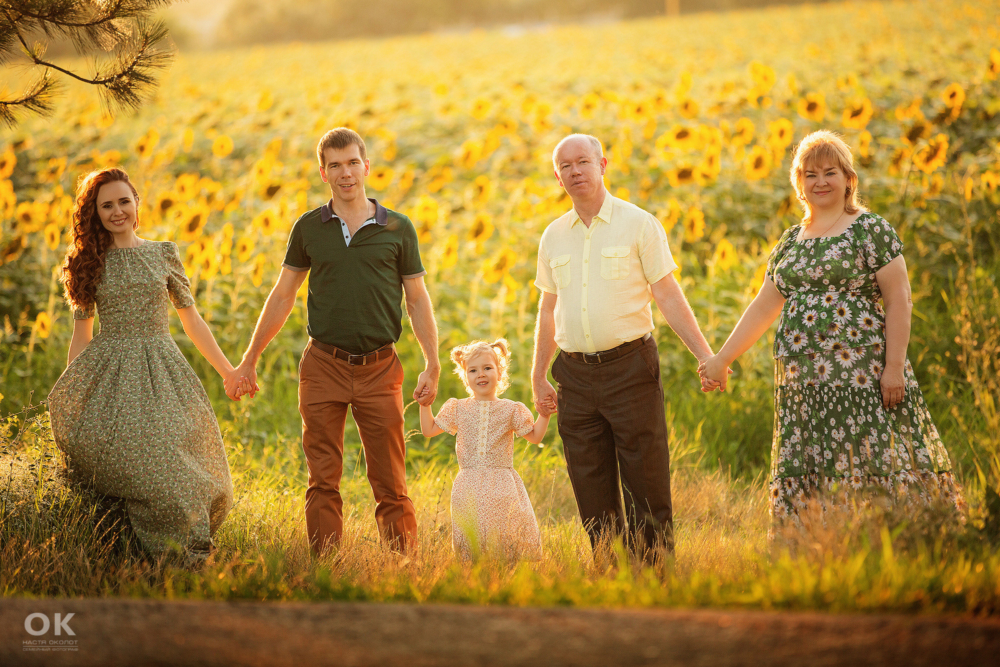 Семейная фотосессия в подсолнухах