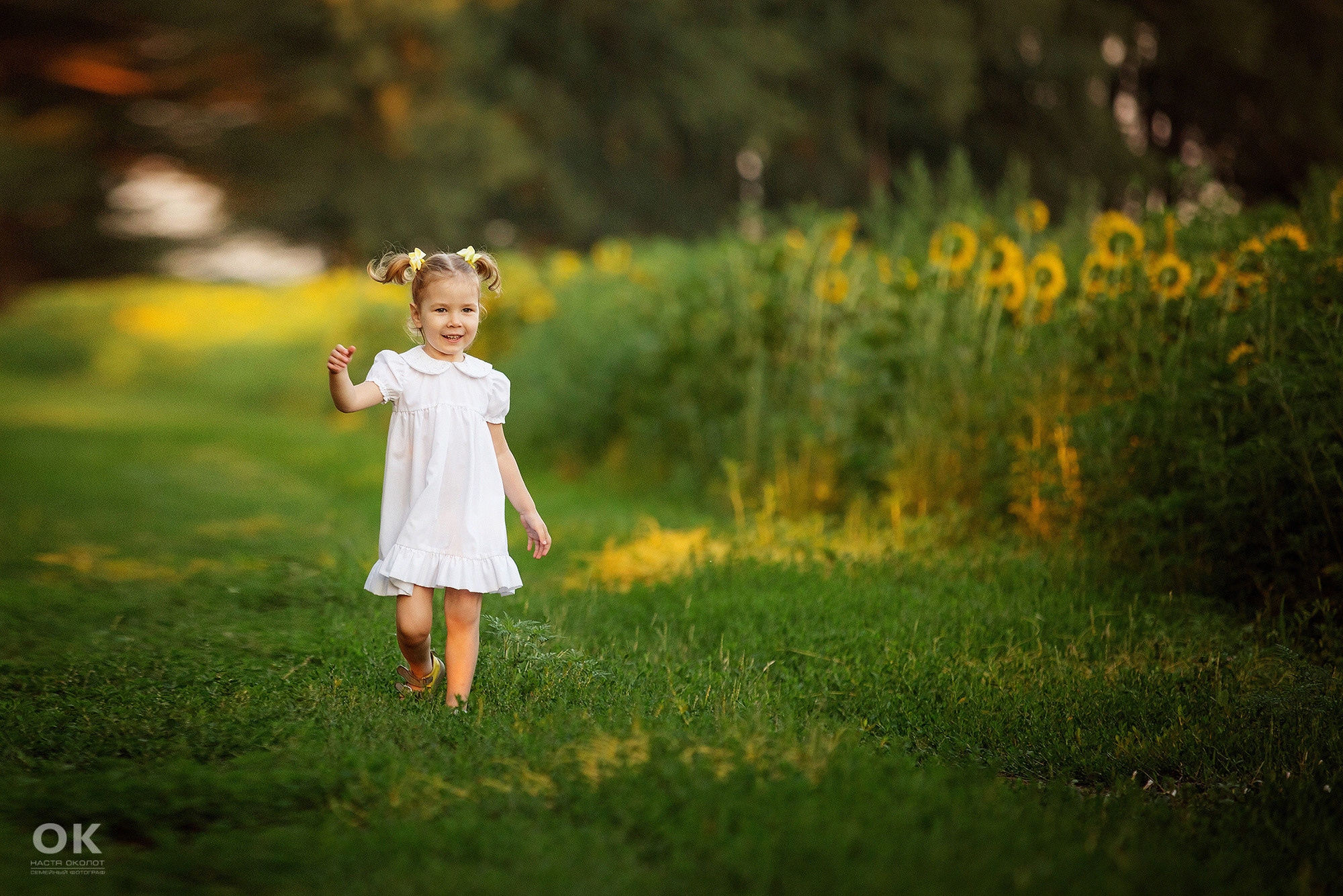 Семейная фотосессия в подсолнухах